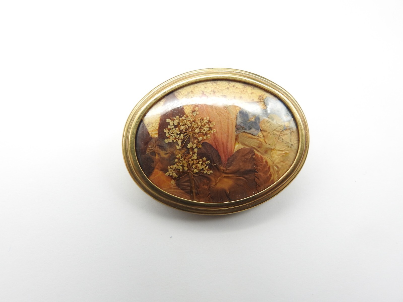Oval Blue Peach Brown Pressed Dried Flower Gold Tone Metal Brooch Vintage