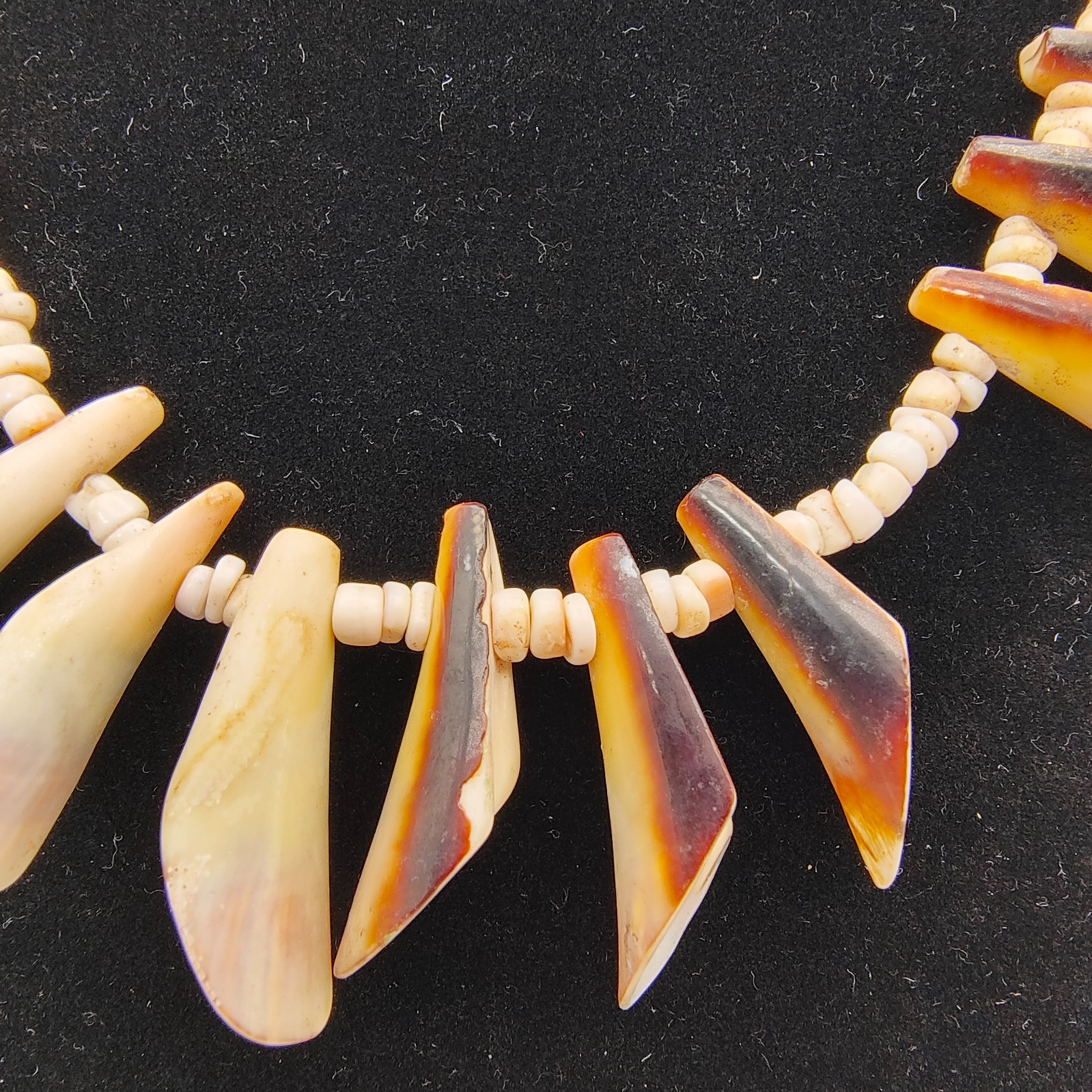 Vintage Spiny Shell Choker Necklace Natural Bohemian Beach Surfer Vibe 16″