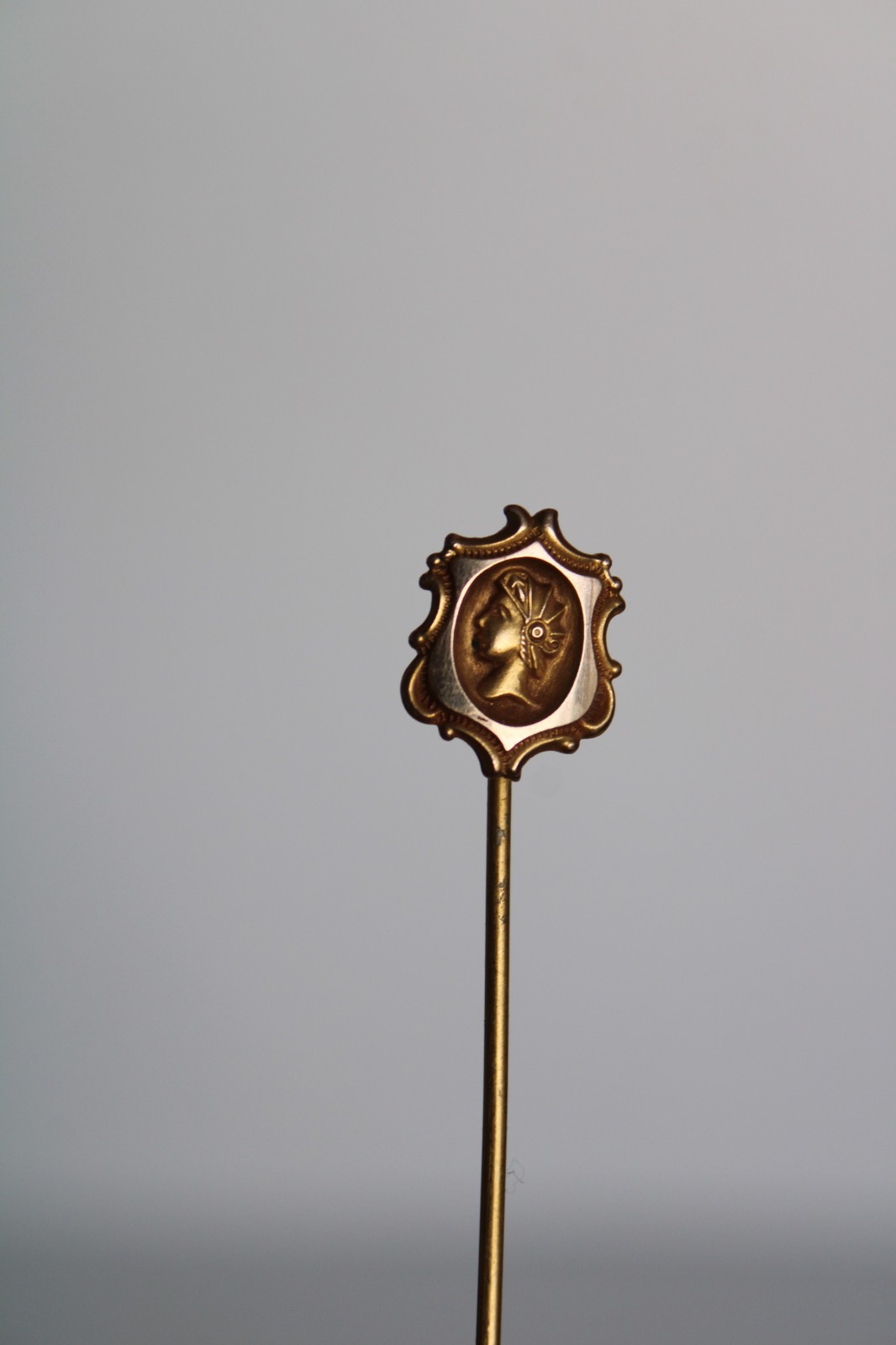 (2) Antique Art Nouveau Cameo & Shield Portrait Stick Pin
