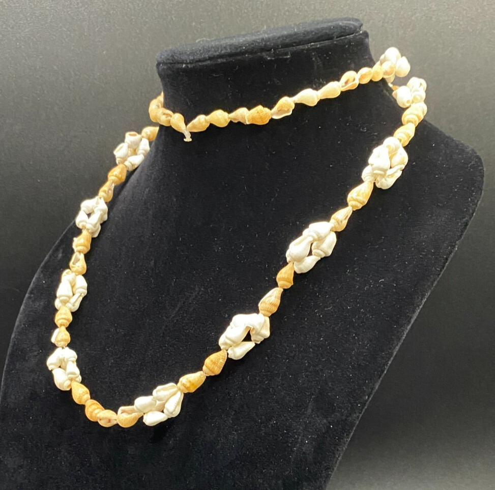Necklace Conch Shell White and Beige