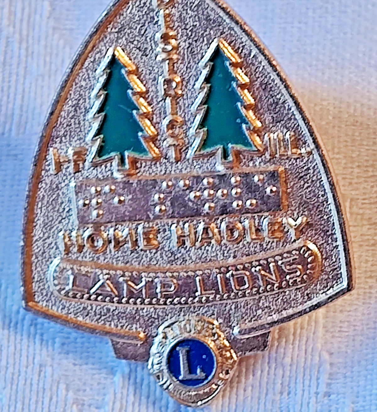 VTG Camp Lions Home Hadley District 1F / ILL Brail Gold Tone Pinch Back Pin