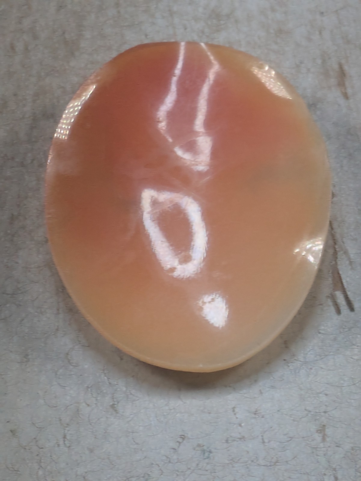 Cameo Carved Loose 45mm X 35mm Shell (5.3g)