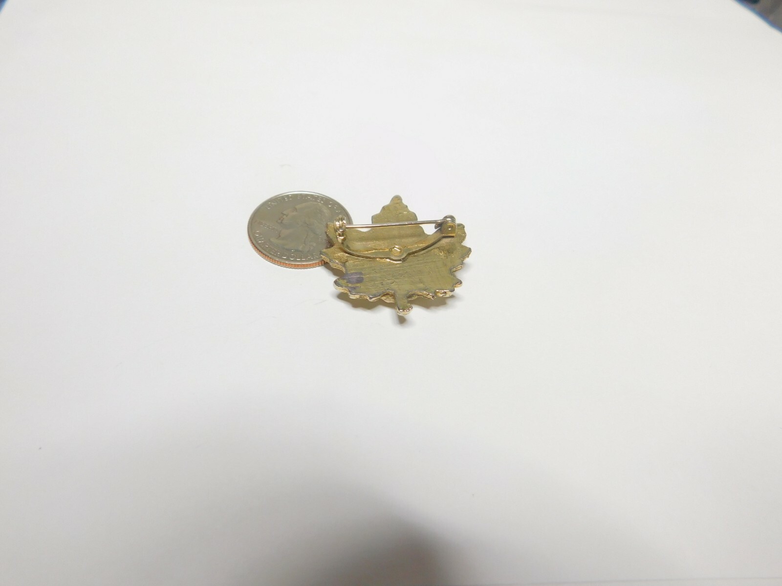 Collectable Nipawin Sask. Canada Maple Leaf Souvenir Brooch Vintage
