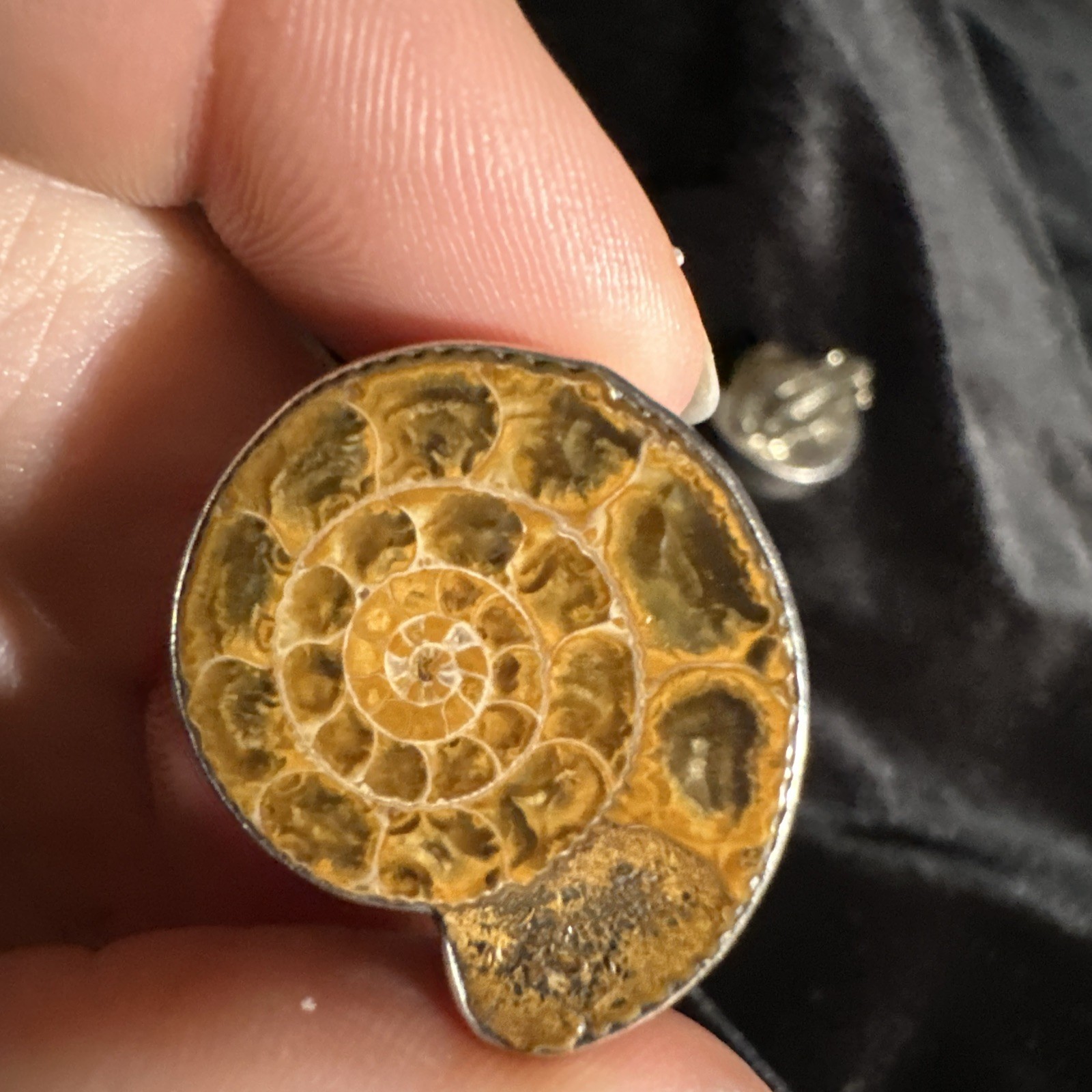 Vintage AKR Amy Kahn Russell Clip Earrings 1.5 Inch Ammonite 925 Sterling 27.2g