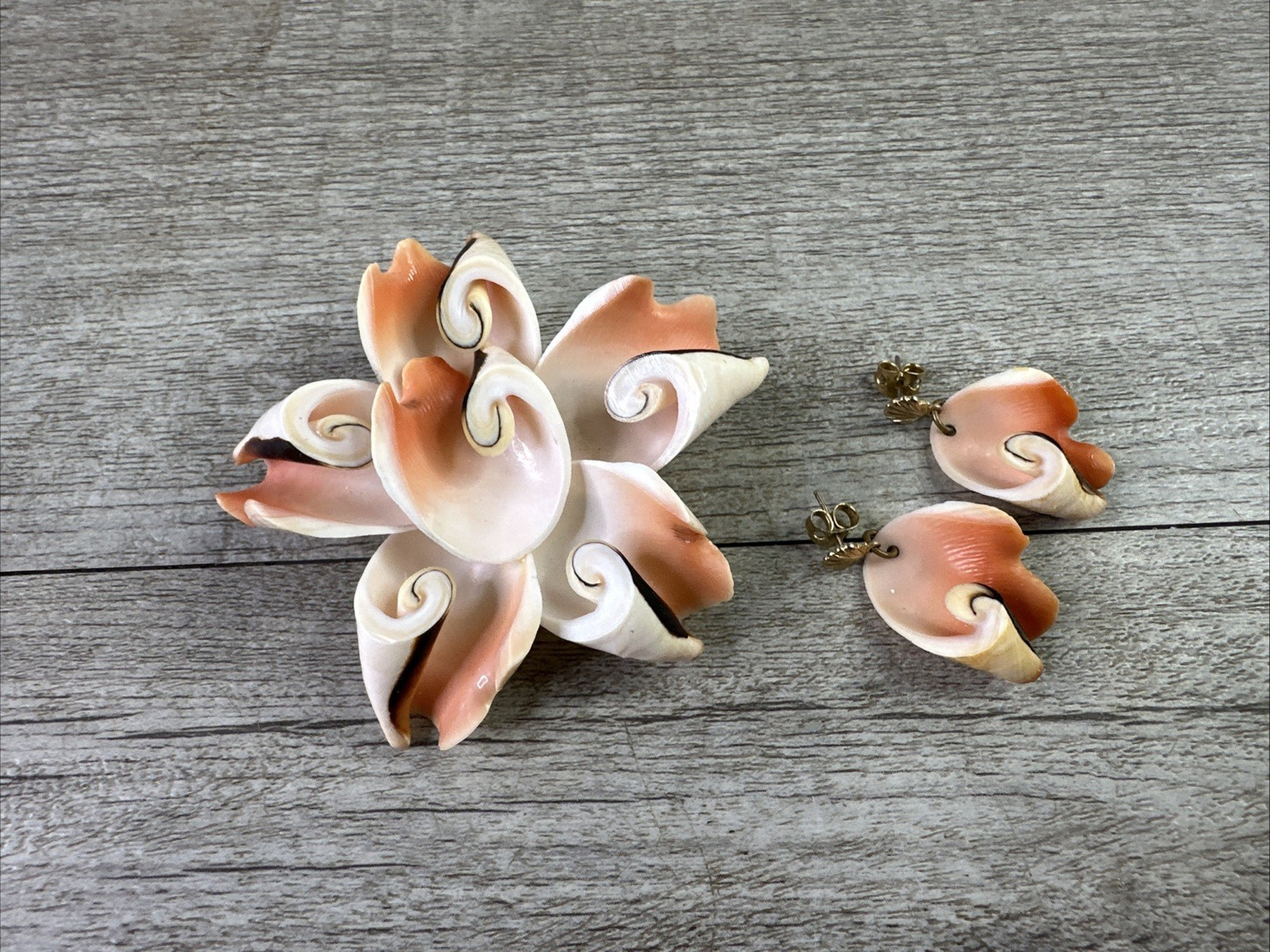 Vintage Genuine Conch Shell Pin Brooch & Stud Earrings Set Pinks Brown White