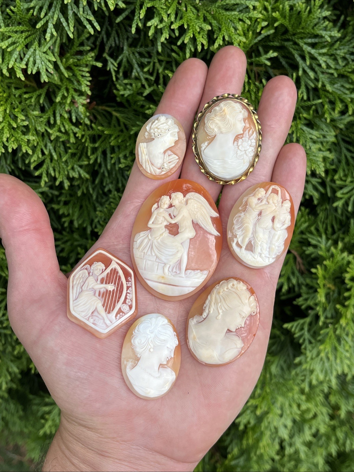 Antique Vintage Cameo Brooch Pendant Shell Loose Lot of 7 Some Very Nice Ones