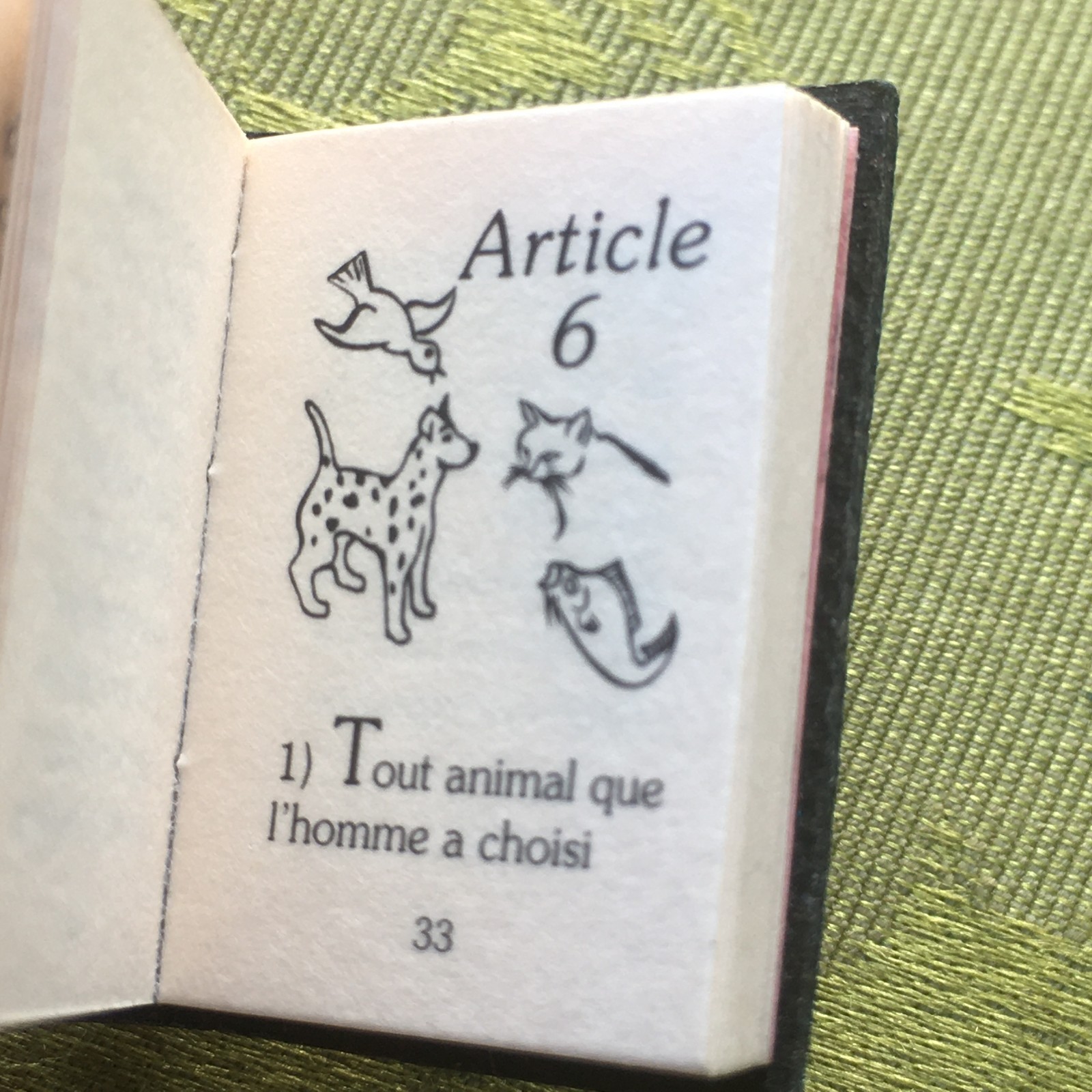FRENCH RARE 1970s ANIMAL RIGHTS PIN BROOCH~SMALL BOOK SHAPE~UNIQUE VINTAGE GIFT