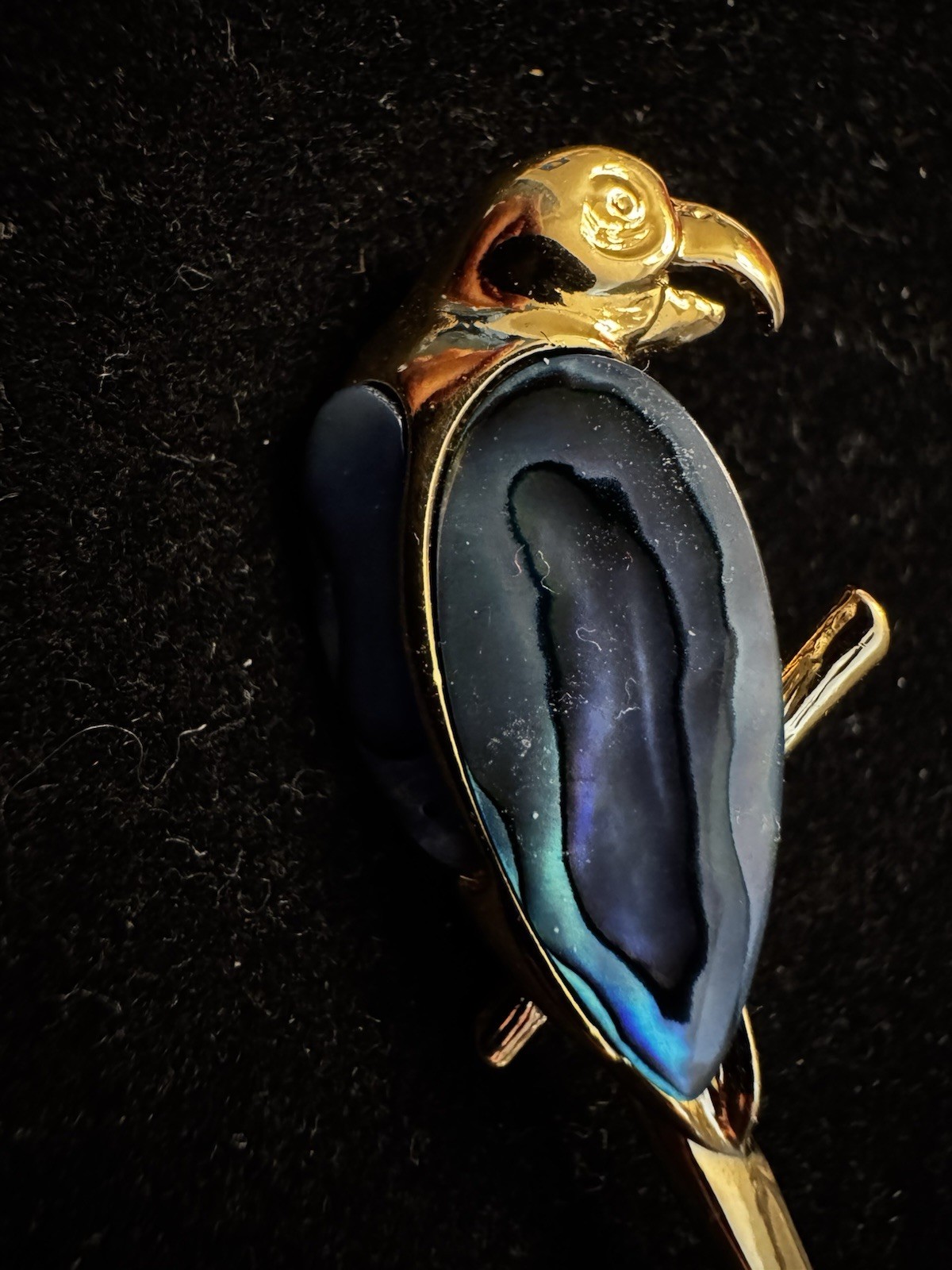 22K GP Gold Plated Ariki Paua Abalone Shell Parrot Bird Wings Brooch Pin