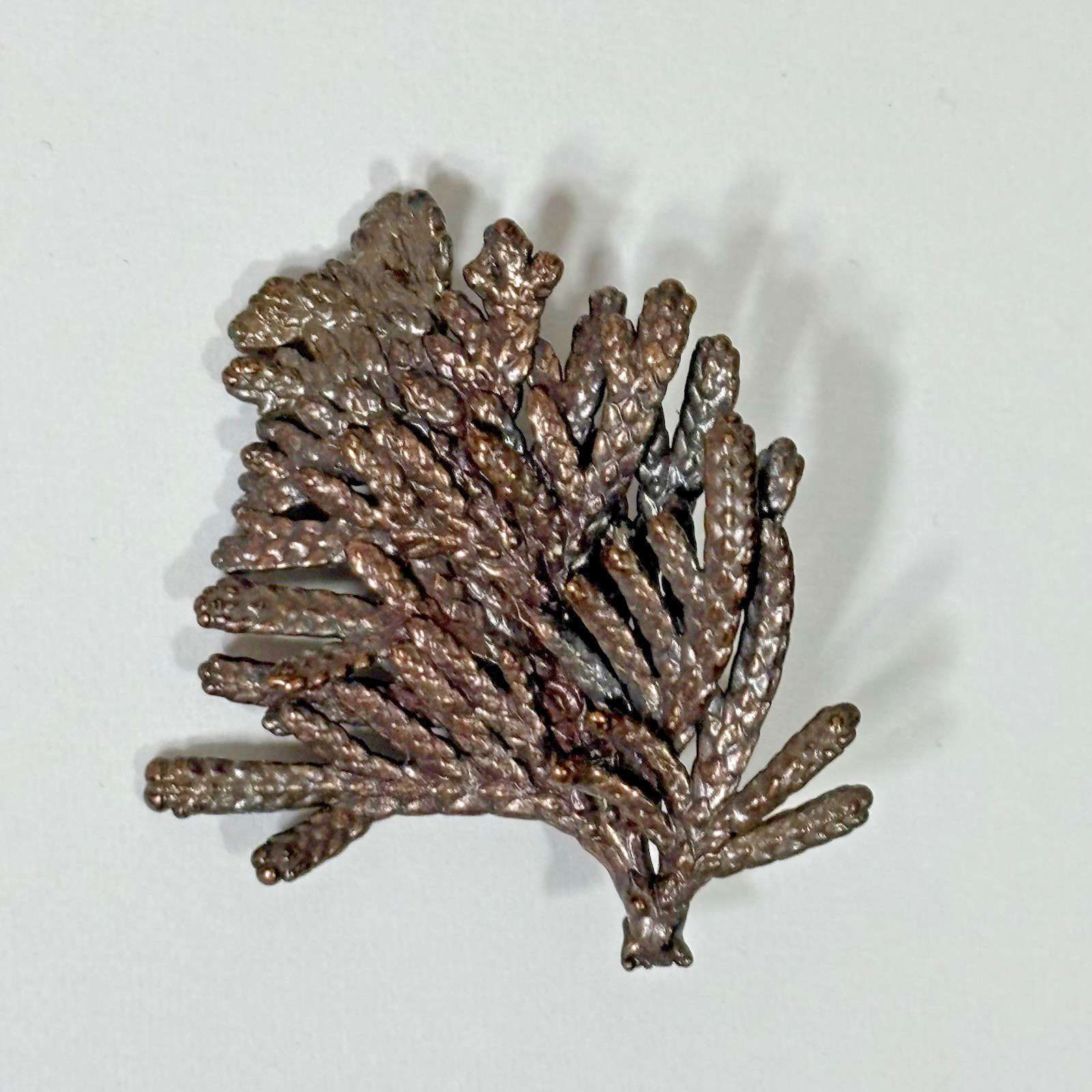 Nature’s Creations Lot of 2 Brooch Pin Copper Arborvitae Thujas & Geranium Leaf