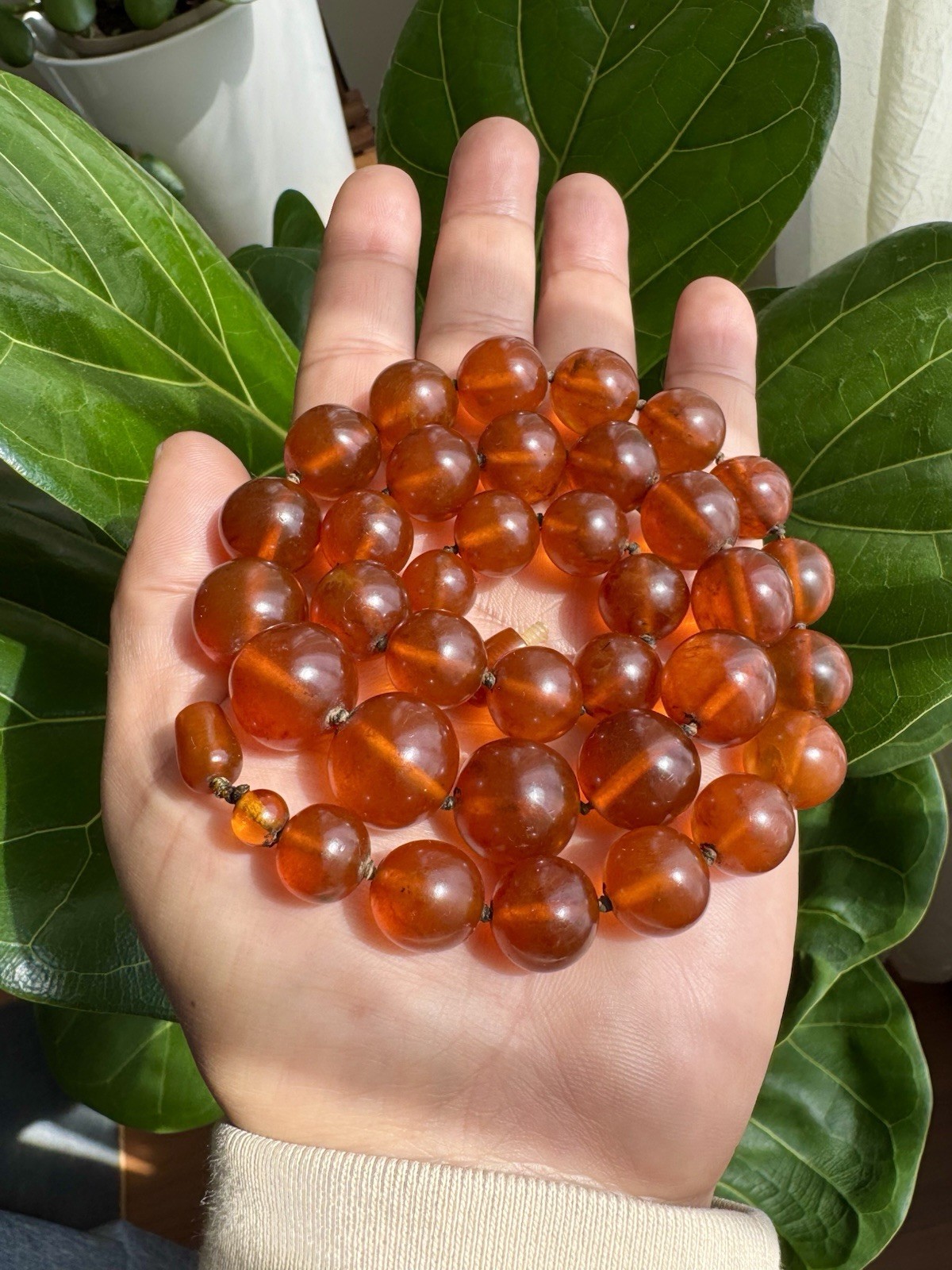 Vintage,Graduated & Knotted Cognac Color Baltic Amber Necklace 24”inch & 64grams