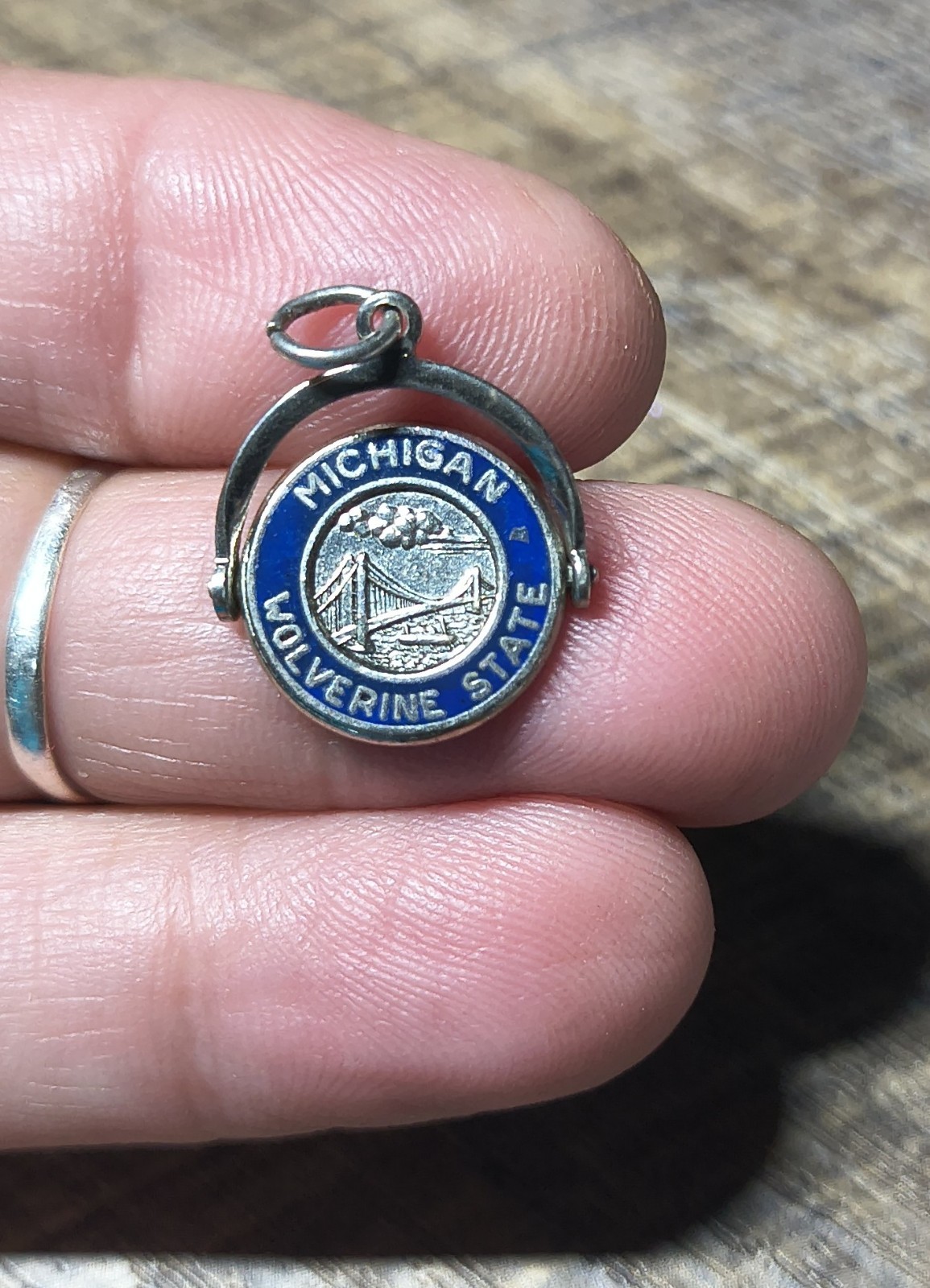 Vintage Michigan Wolverine Charm