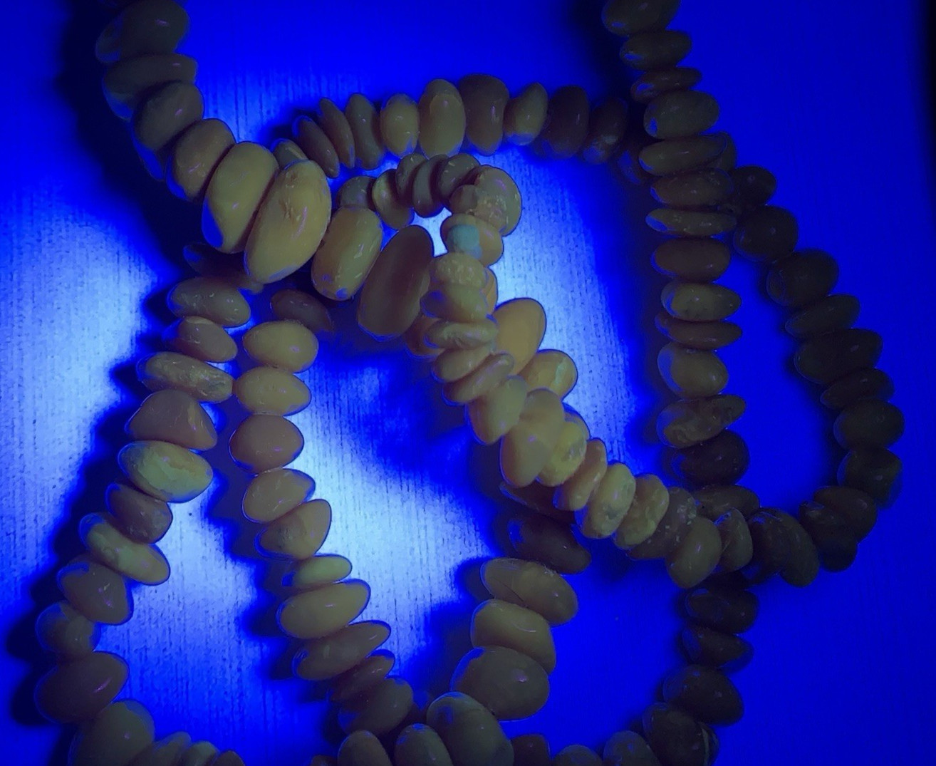 Vtg Baltic Amber Egg Yolk Chip Bead Necklace 31 Grams 24″ Long Pull-Over Style