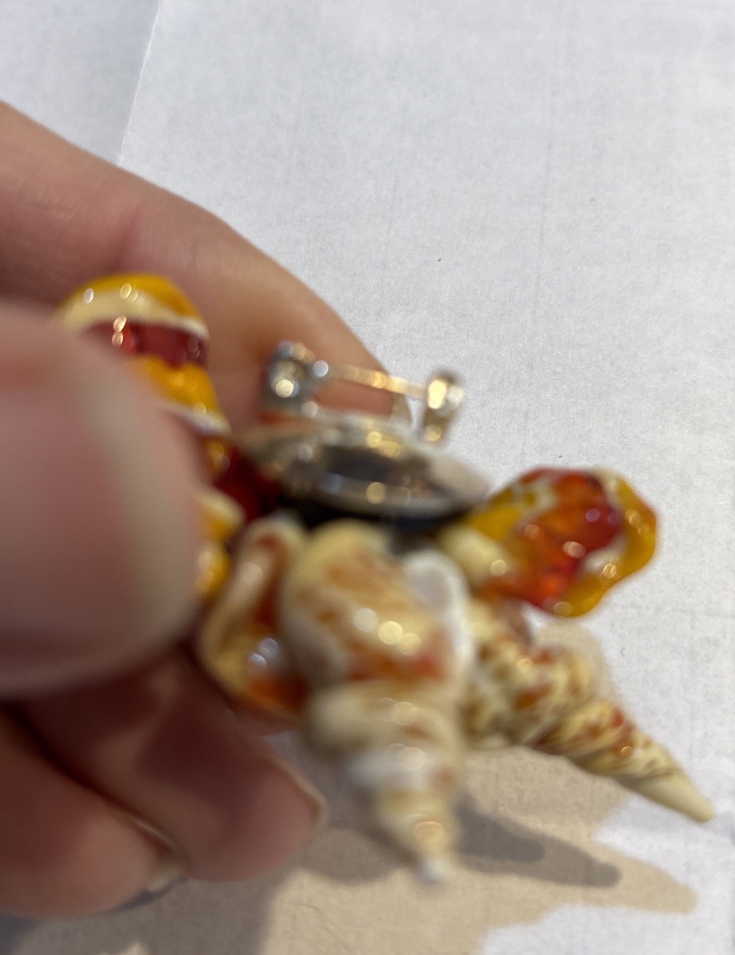 Lucite Acrylic Sea shell Brooch Pin