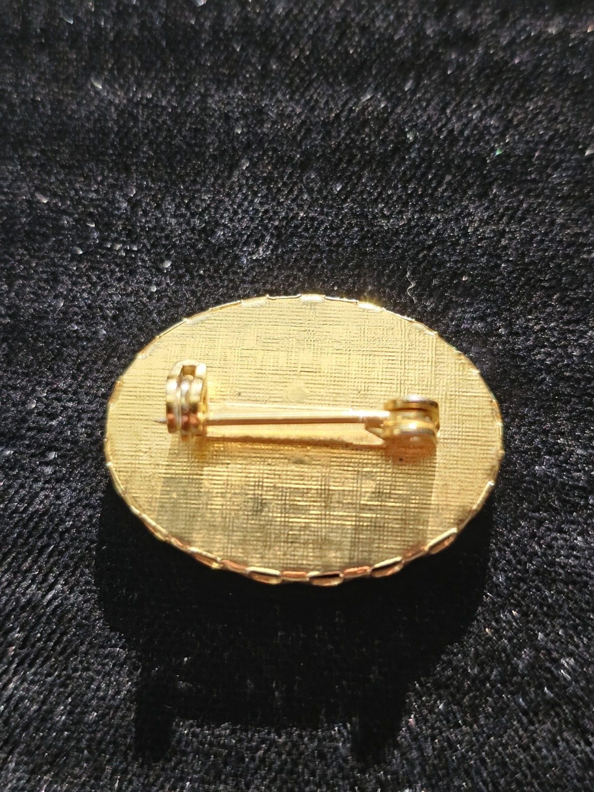 Vintage Brooch/Pin Ducks Flying Glass Oval Gold Tone Frame Gold Red Black