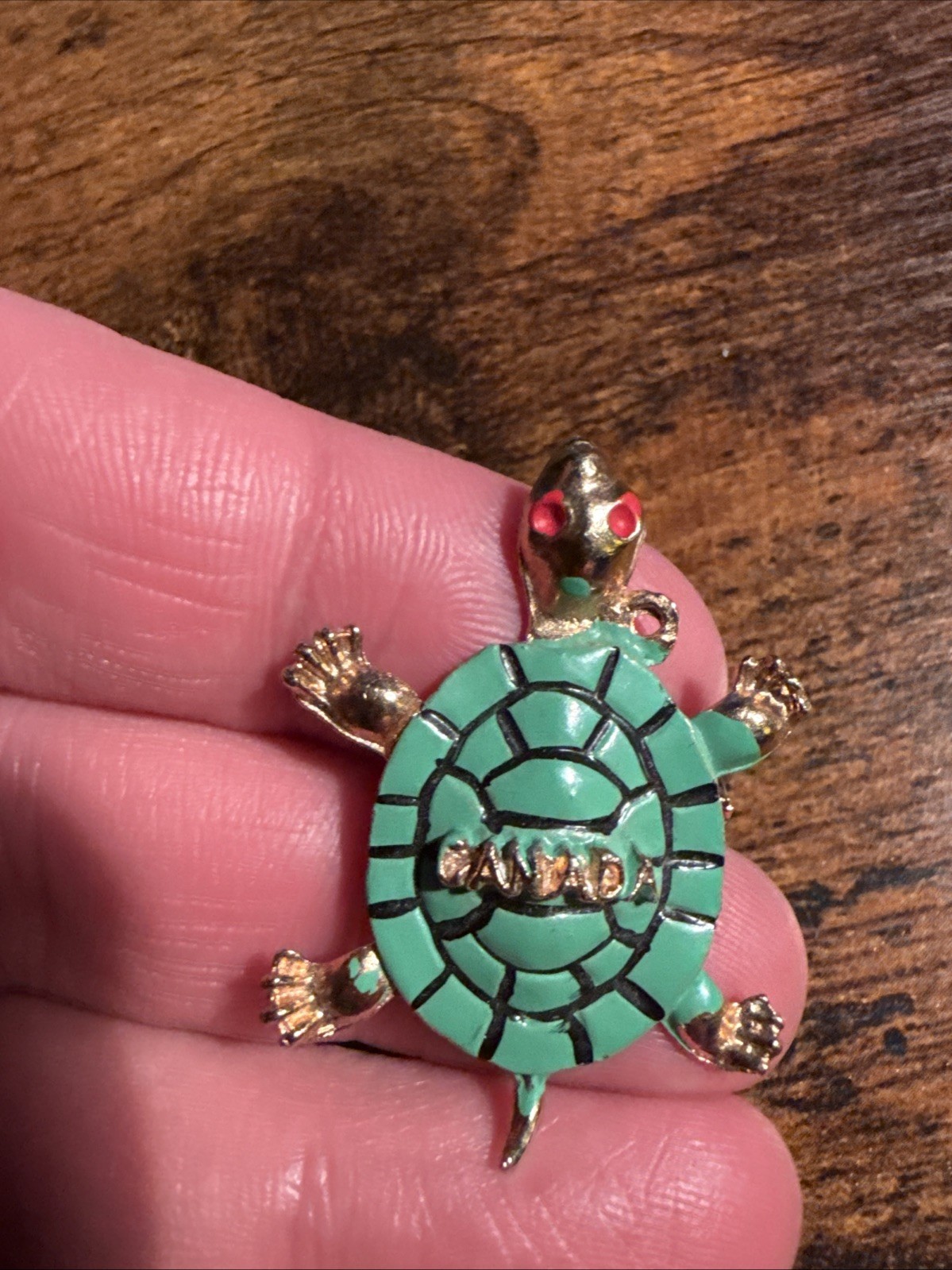 Vintage 1960’s Turtle Brooch Pin Niagra Falls Canada Souvenir Collectible Enamel