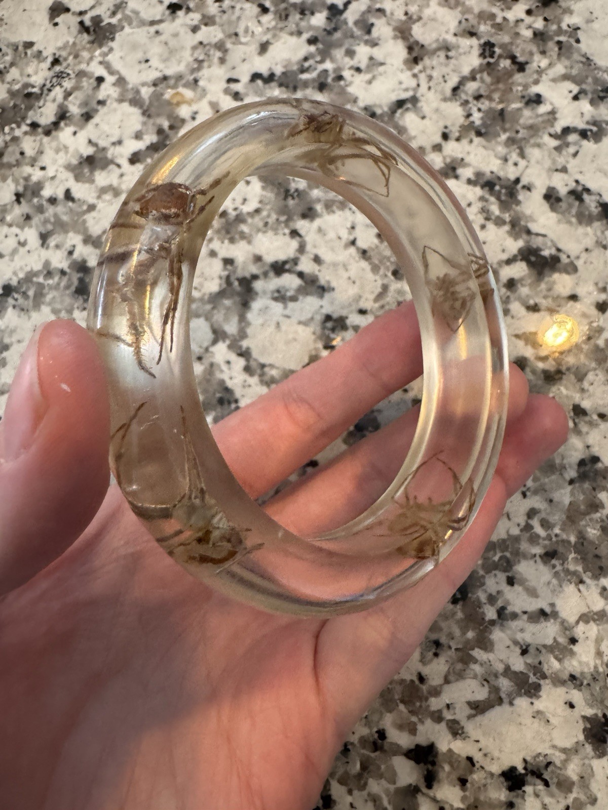 Vintage Lucite SPIDER Bangle Bracelet Real Bugs Embedded Resin Oddities Jewelry