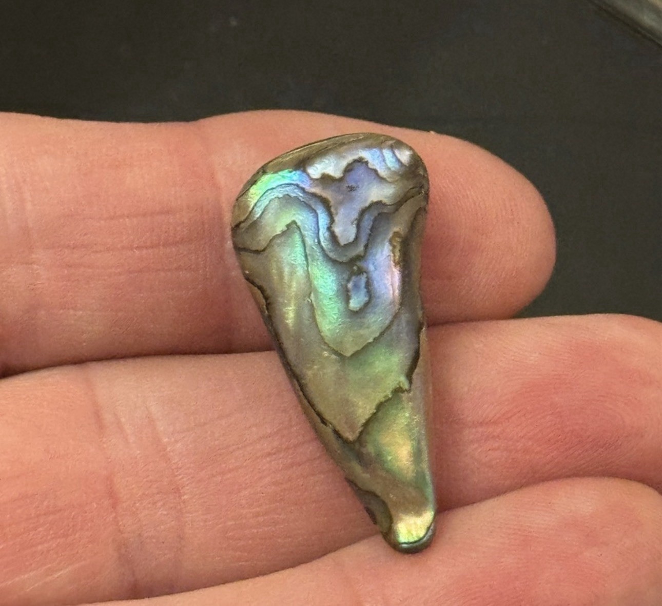 Rare Beautiful Exquisite Abalone Pearl found In Ocean In American Samoa