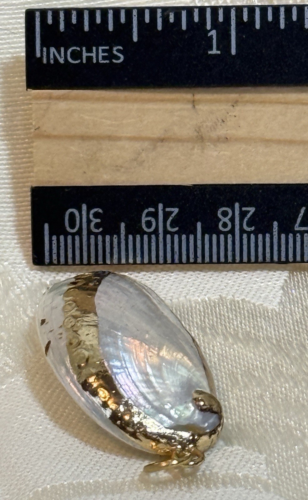 Vintage Gold Trimmed Natural Real ‘Pearl White’ Seashell Sea Shell Pendant