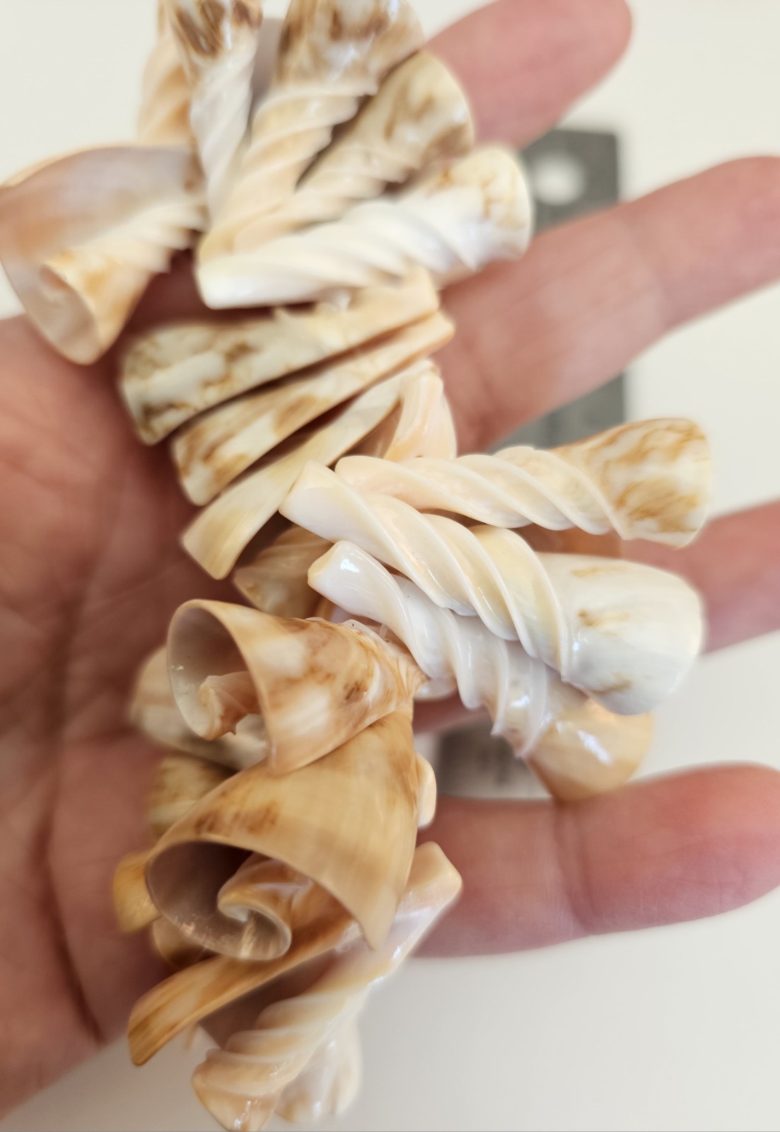 Strand of 20 – Vintage Gorgeous Conical Natural Shell Pendants – 1″ – 1 1/2″