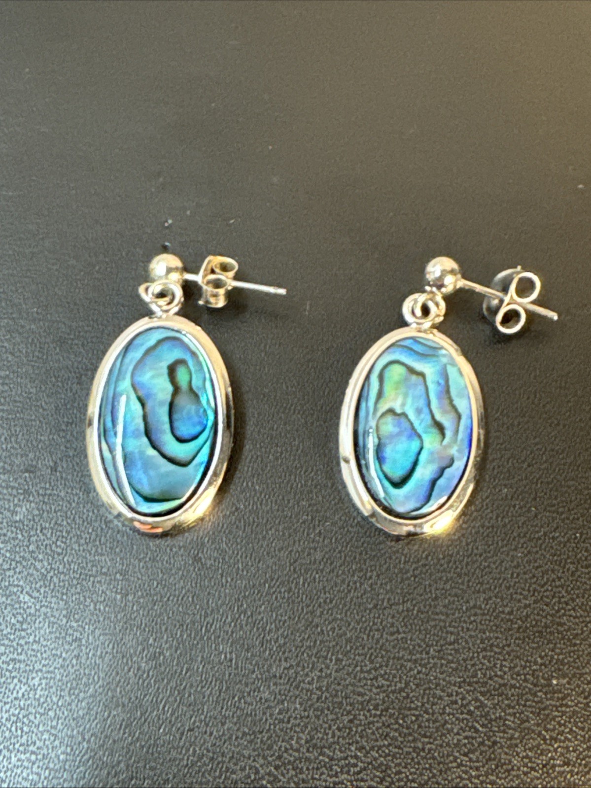Australian Abalone Paua Shell Earns
