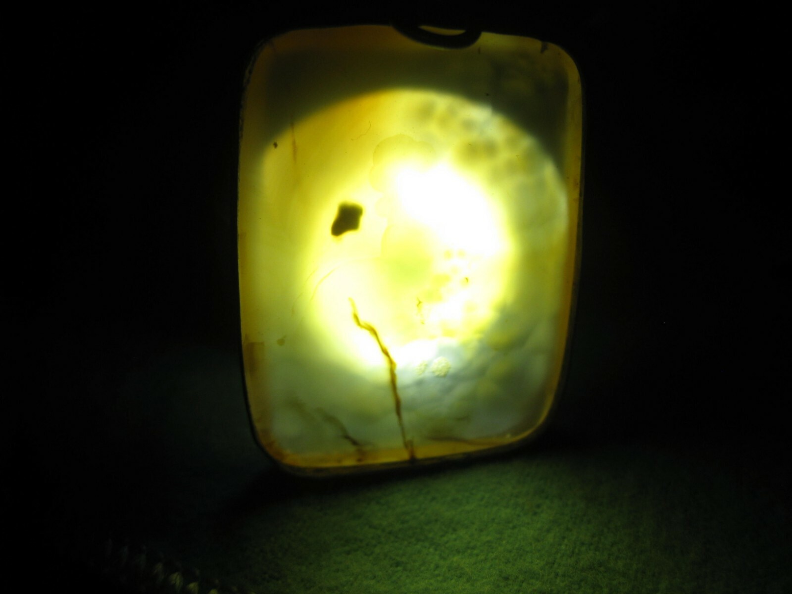Amber Pendant Suspended Fossil Jellyfish Dandelion Gold Rim 15g 1 1/2″ x 1 1/8″