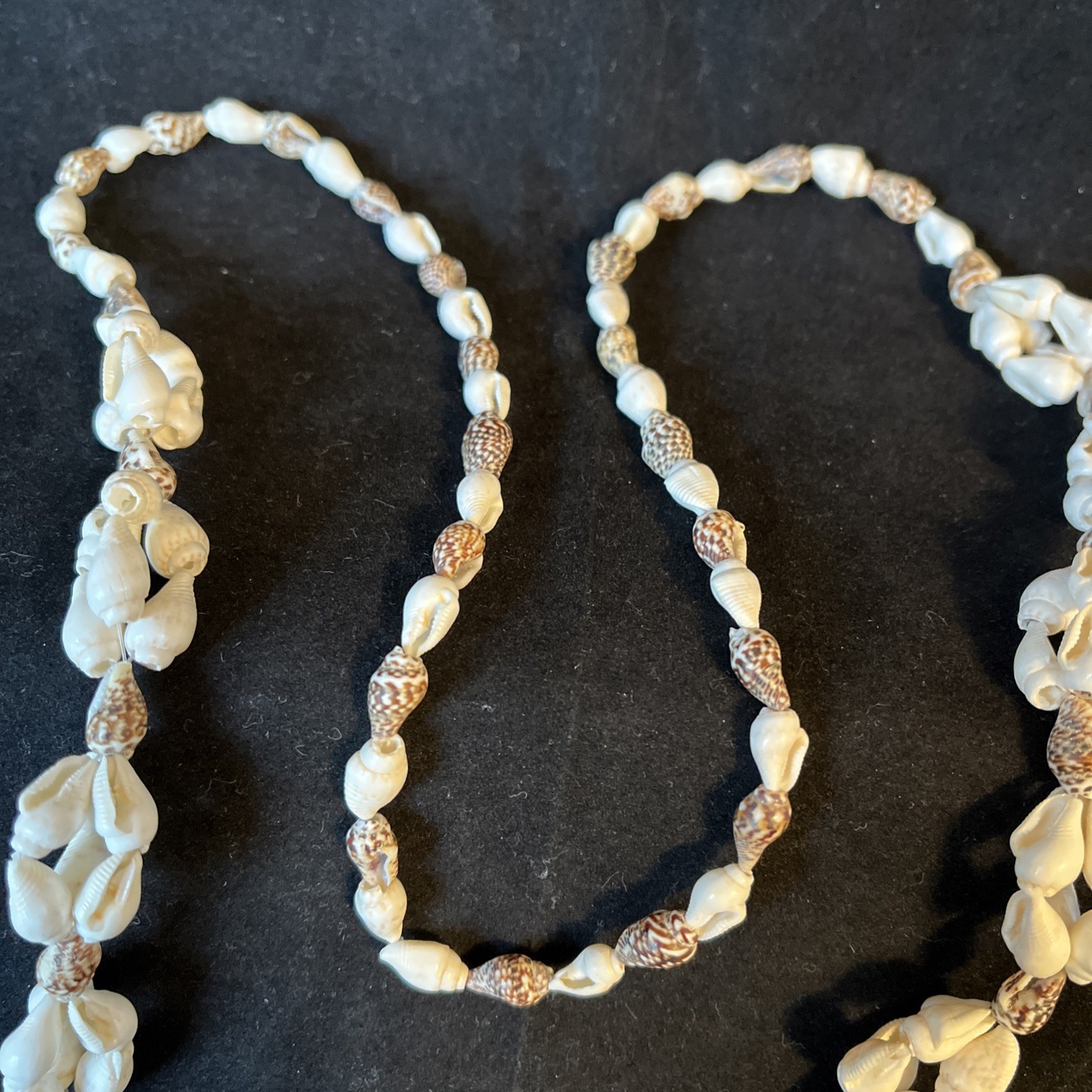 Long Sea Shell Necklace Tiny Whelks 35in Natural Real Seashells Handmade