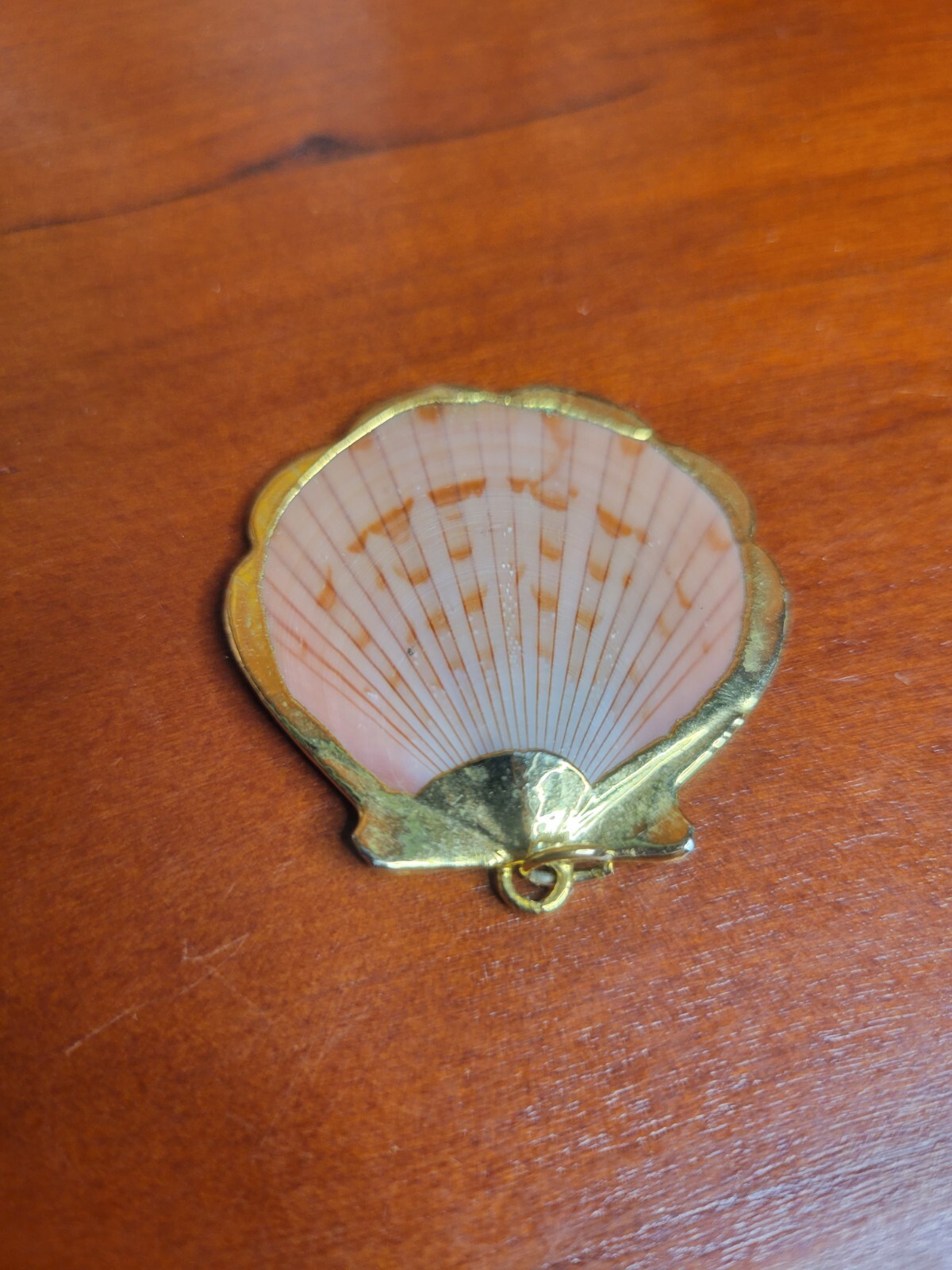 Natural Sea Shell Gold Trim Pendant
