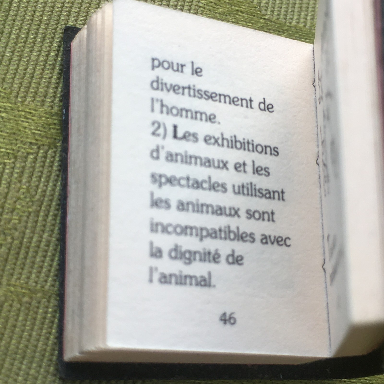 FRENCH RARE 1970s ANIMAL RIGHTS PIN BROOCH~SMALL BOOK SHAPE~UNIQUE VINTAGE GIFT