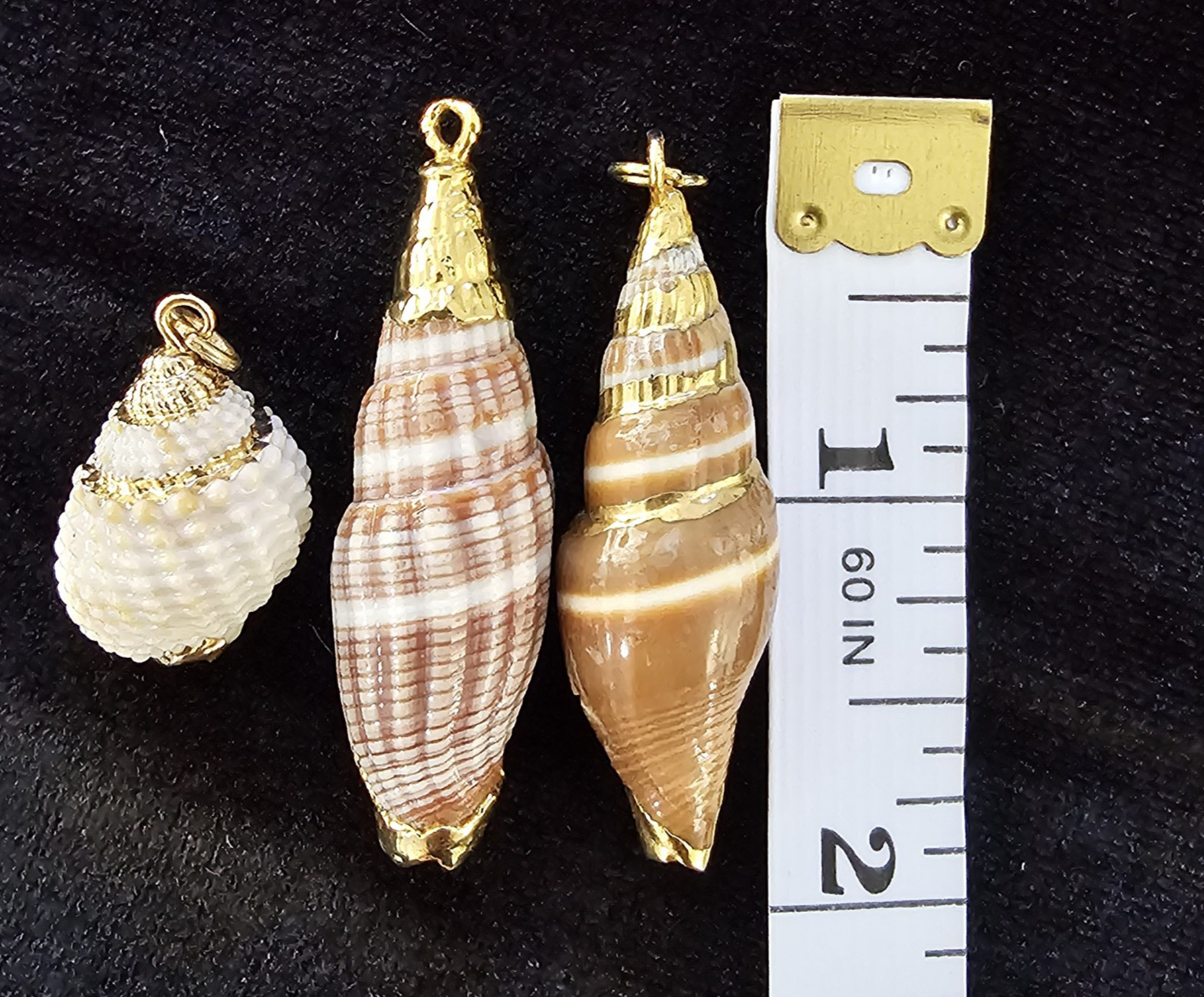 Lot of 4 Gold Rim Natural Sea Shell Pendant Charm & Dangle Earrings Coastal Boho