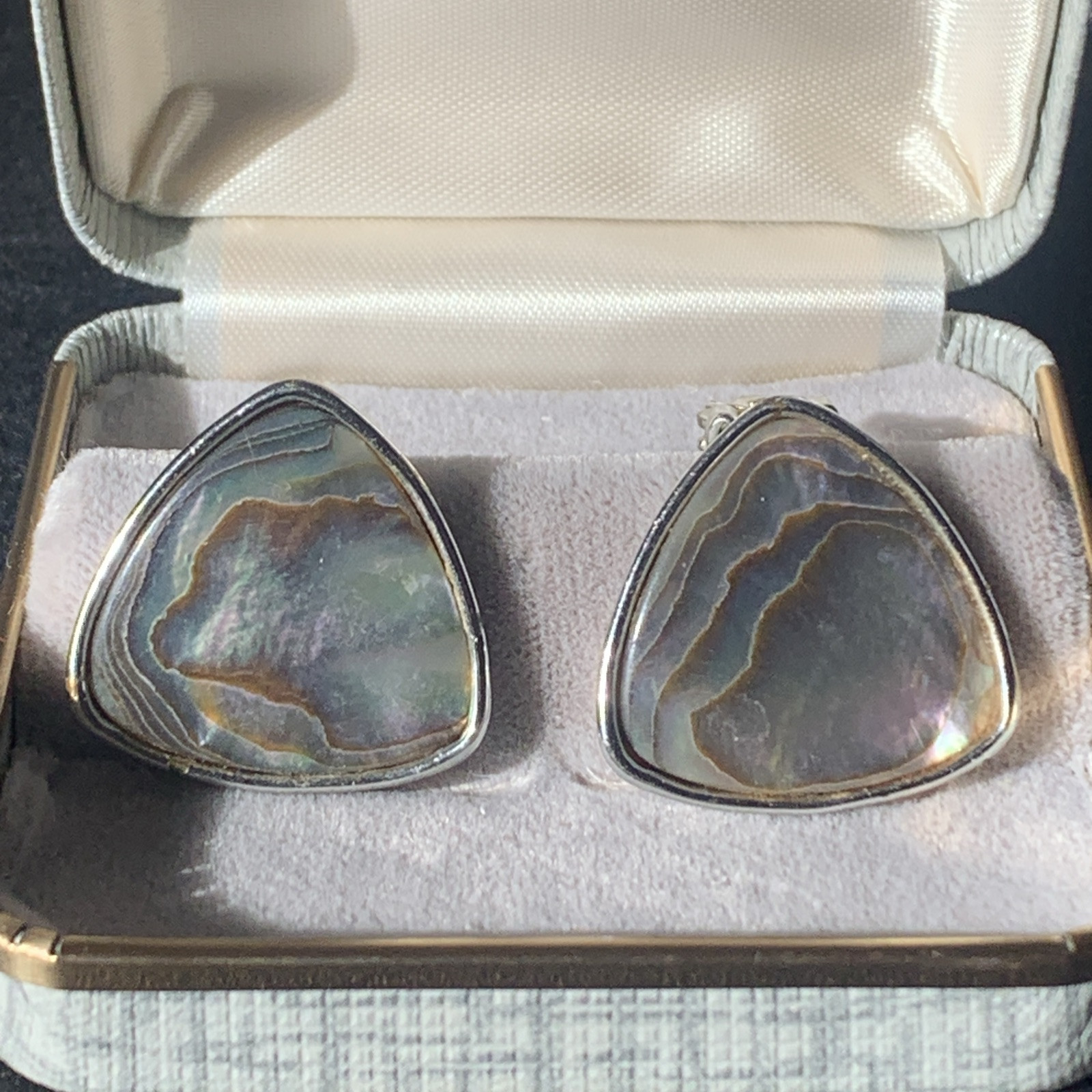 Vintage Paua Shell Abalone Flip Back Earrings