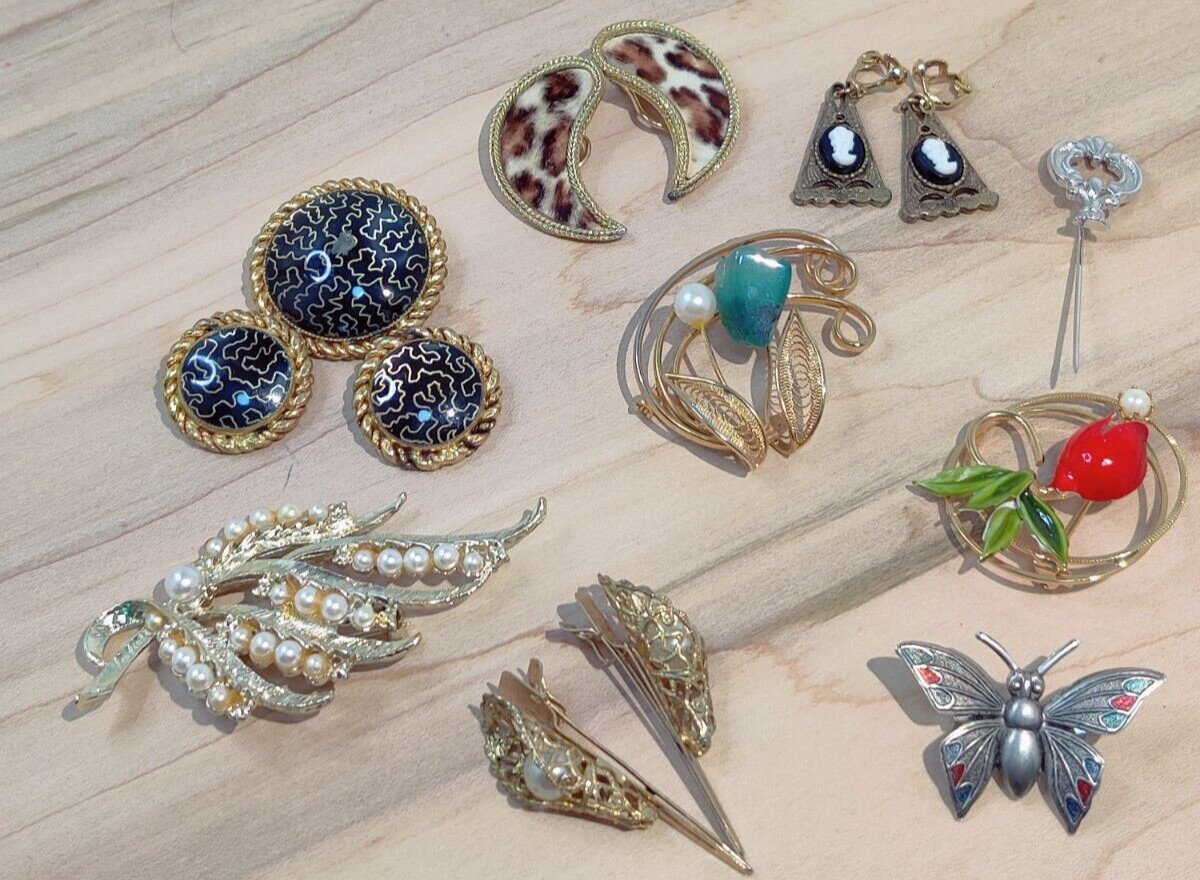 VTG 4 BROOCHS , 1 EARRINGS BROOCH SET, 1FAUX FUR LEAPARD EARRINGS CAMEO EARRINGS