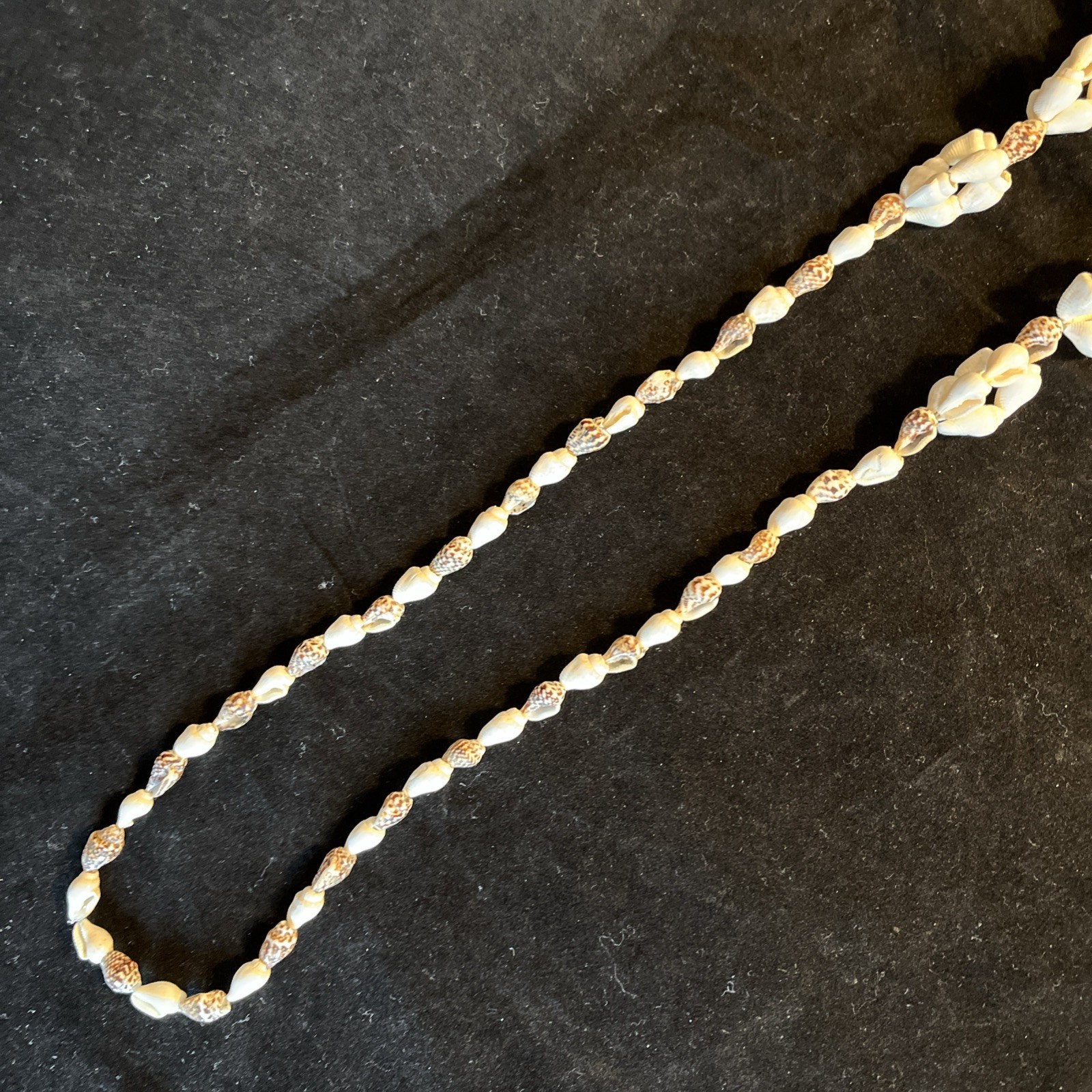 Long Sea Shell Necklace Tiny Whelks 35in Natural Real Seashells Handmade