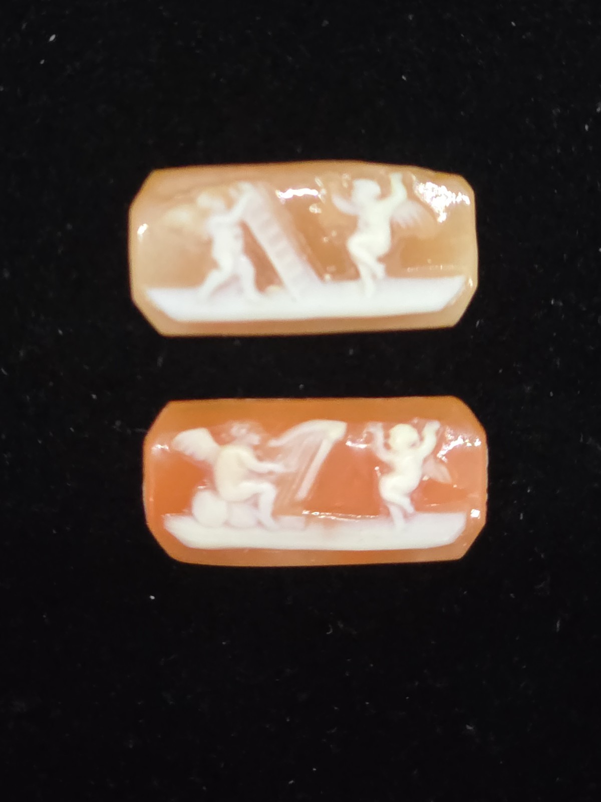 Unset Detailed Ornate Shell Cameos Cherubs Angels Chariot Horse Harp