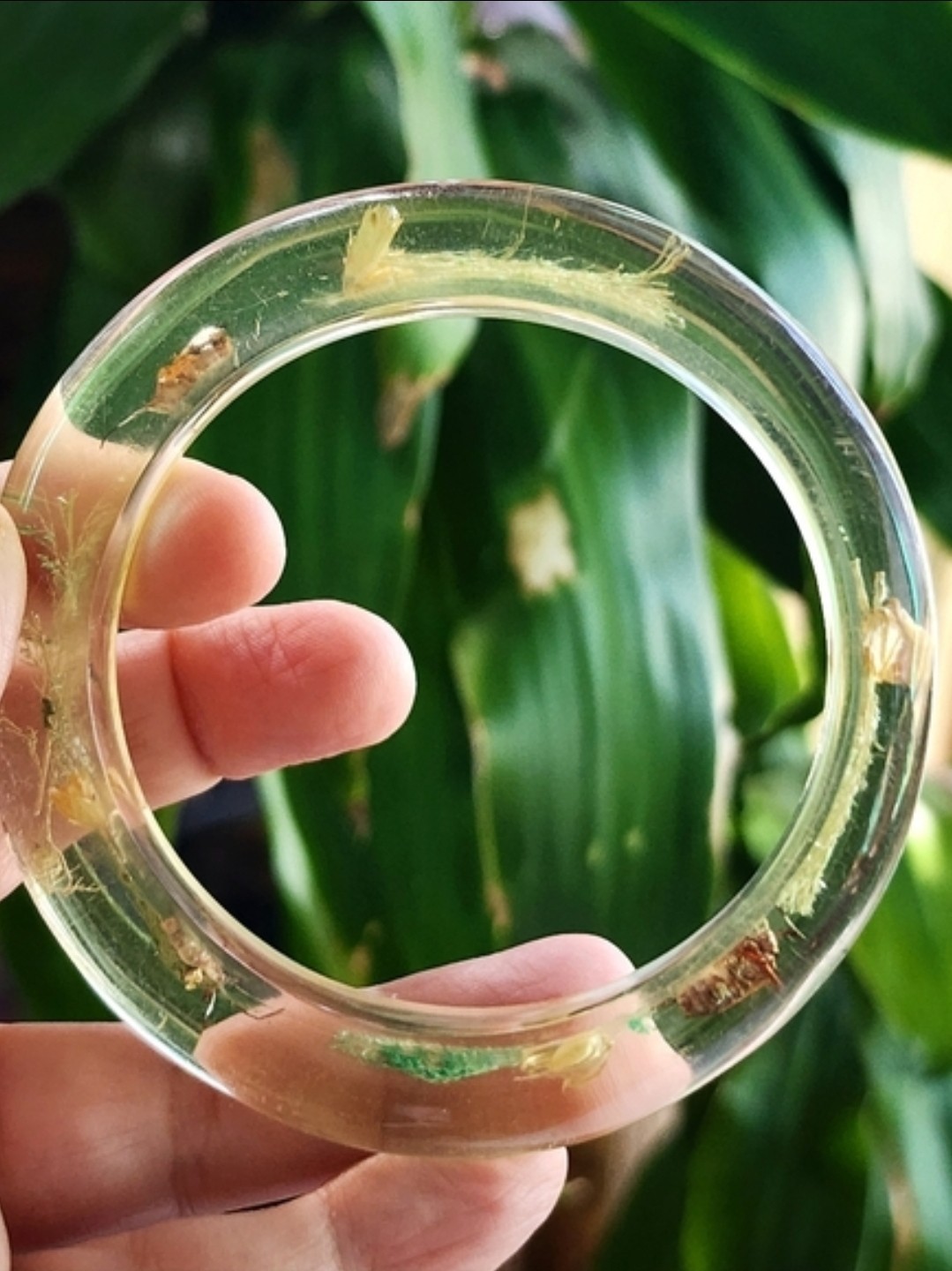 Vintage Bontanical Flora & Insect Lucite Bangle