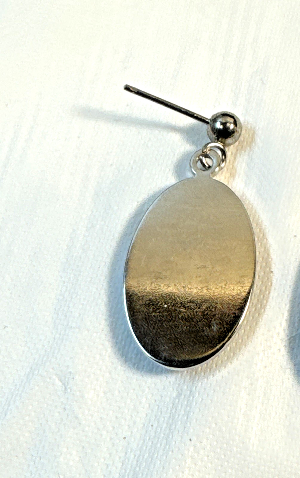 Australian Abalone Paua Shell Earns