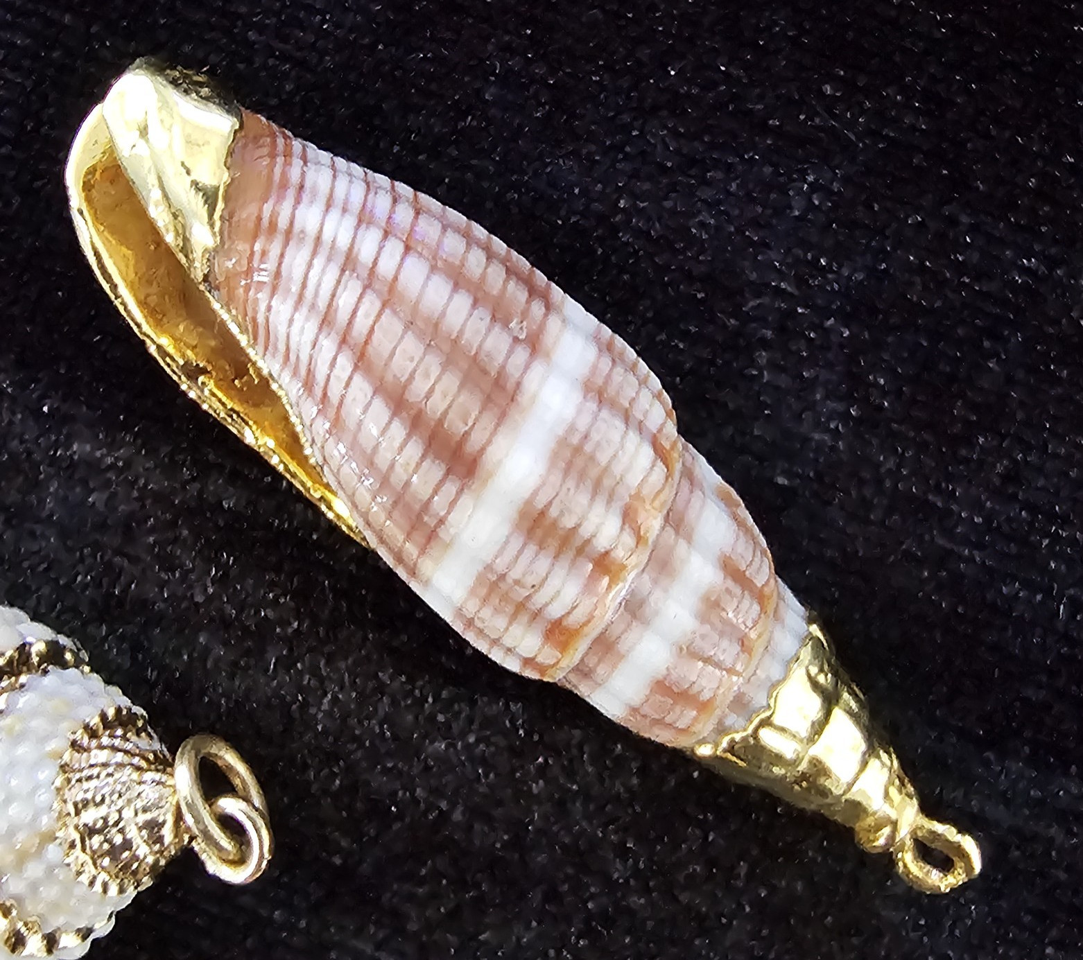 Lot of 4 Gold Rim Natural Sea Shell Pendant Charm & Dangle Earrings Coastal Boho