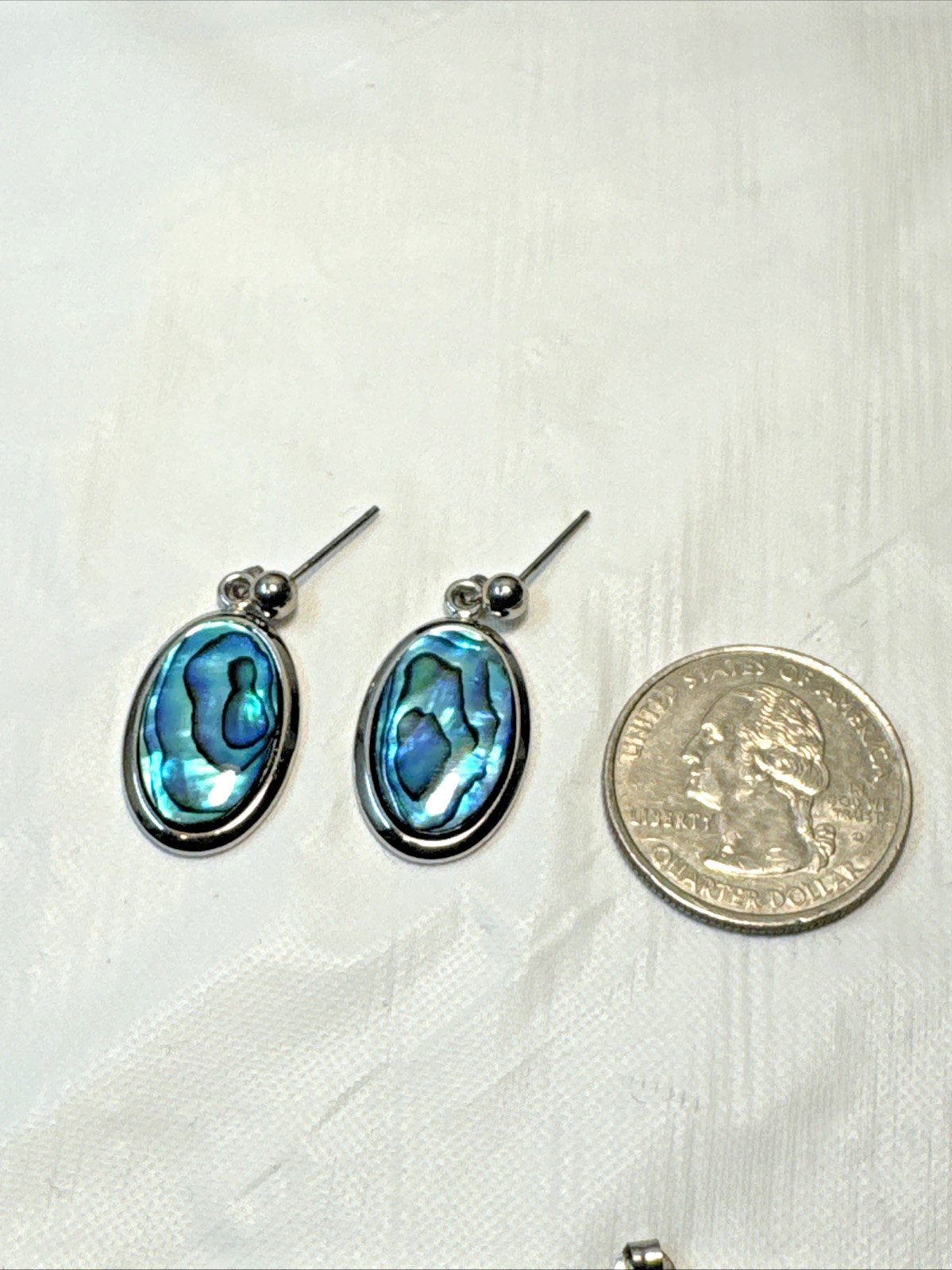 Australian Abalone Paua Shell Earns