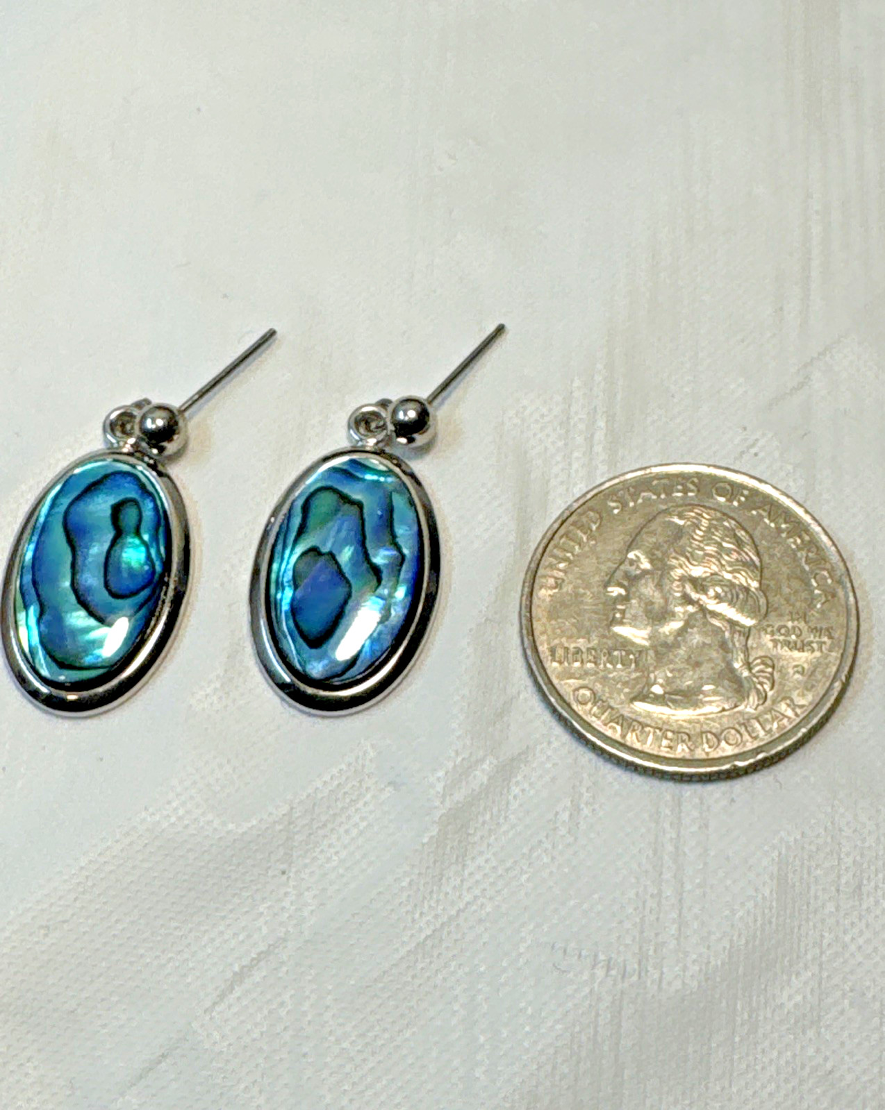Australian Abalone Paua Shell Earns