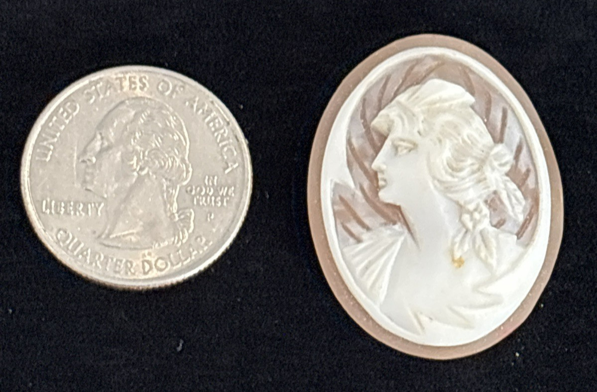 Loose Antique Carved Shell Cameo Portrait Lady Styled Hair Detailed Background
