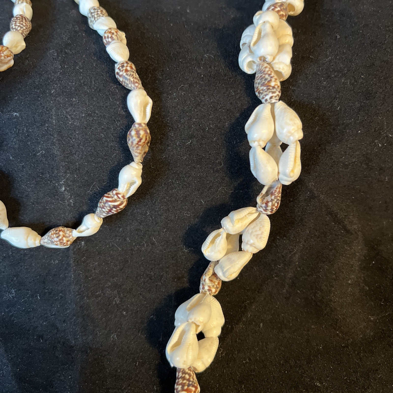 Long Sea Shell Necklace Tiny Whelks 35in Natural Real Seashells Handmade