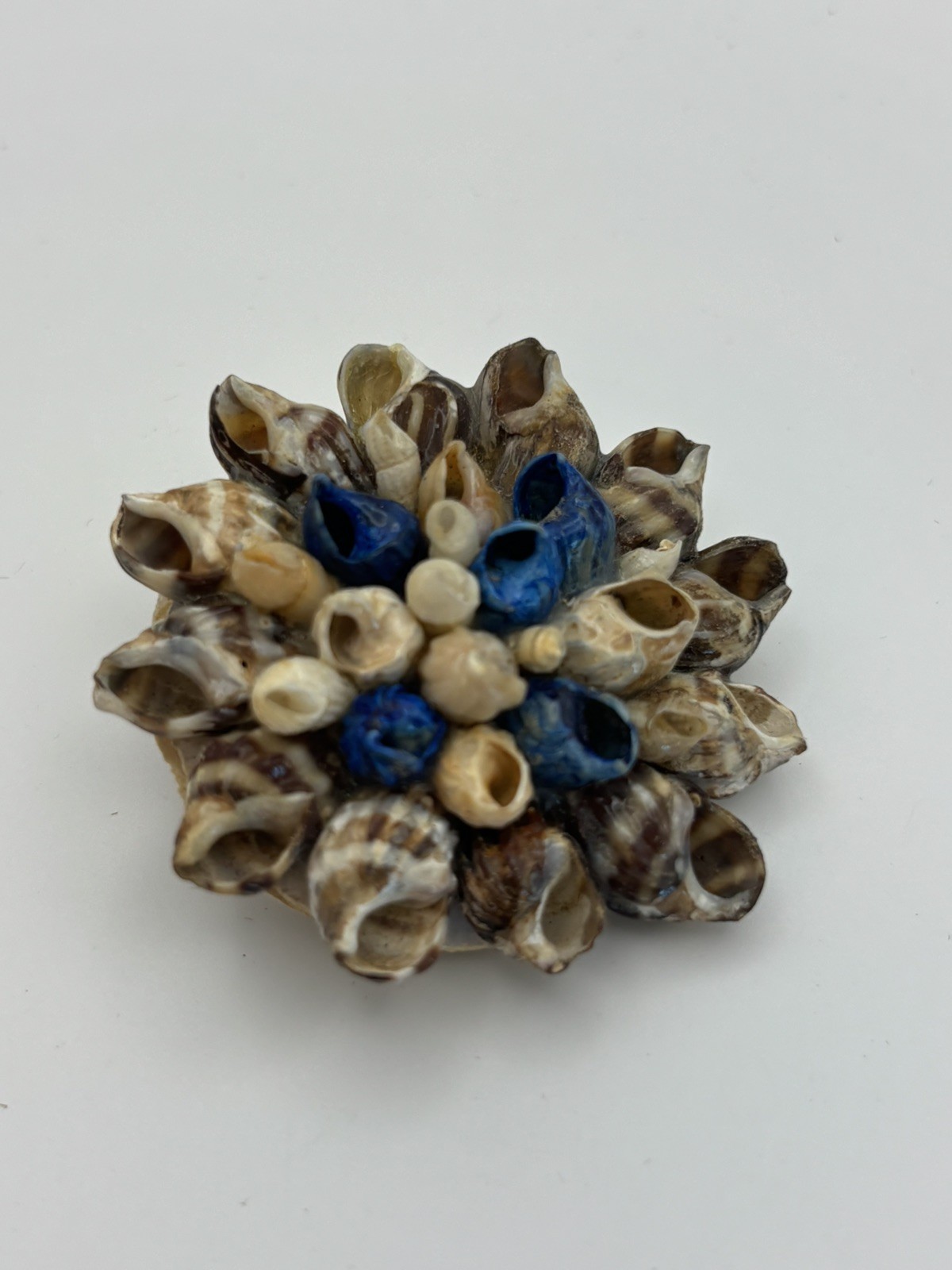Vintage Blue & Tan Floral Cluster Sea Shell Brooch Pin Sea of Galilee 1993
