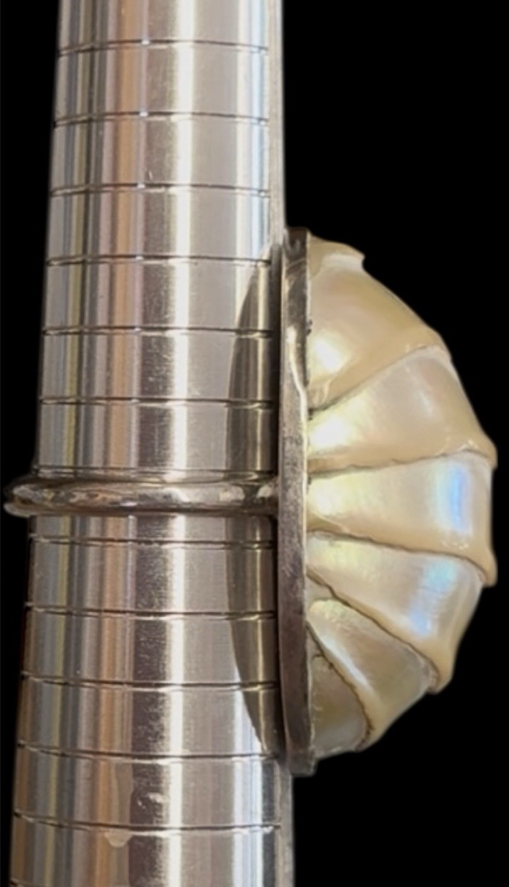 Vintage Natural Ridged Nautilus Shell Jewelry Set In Sterling Silver-Estate