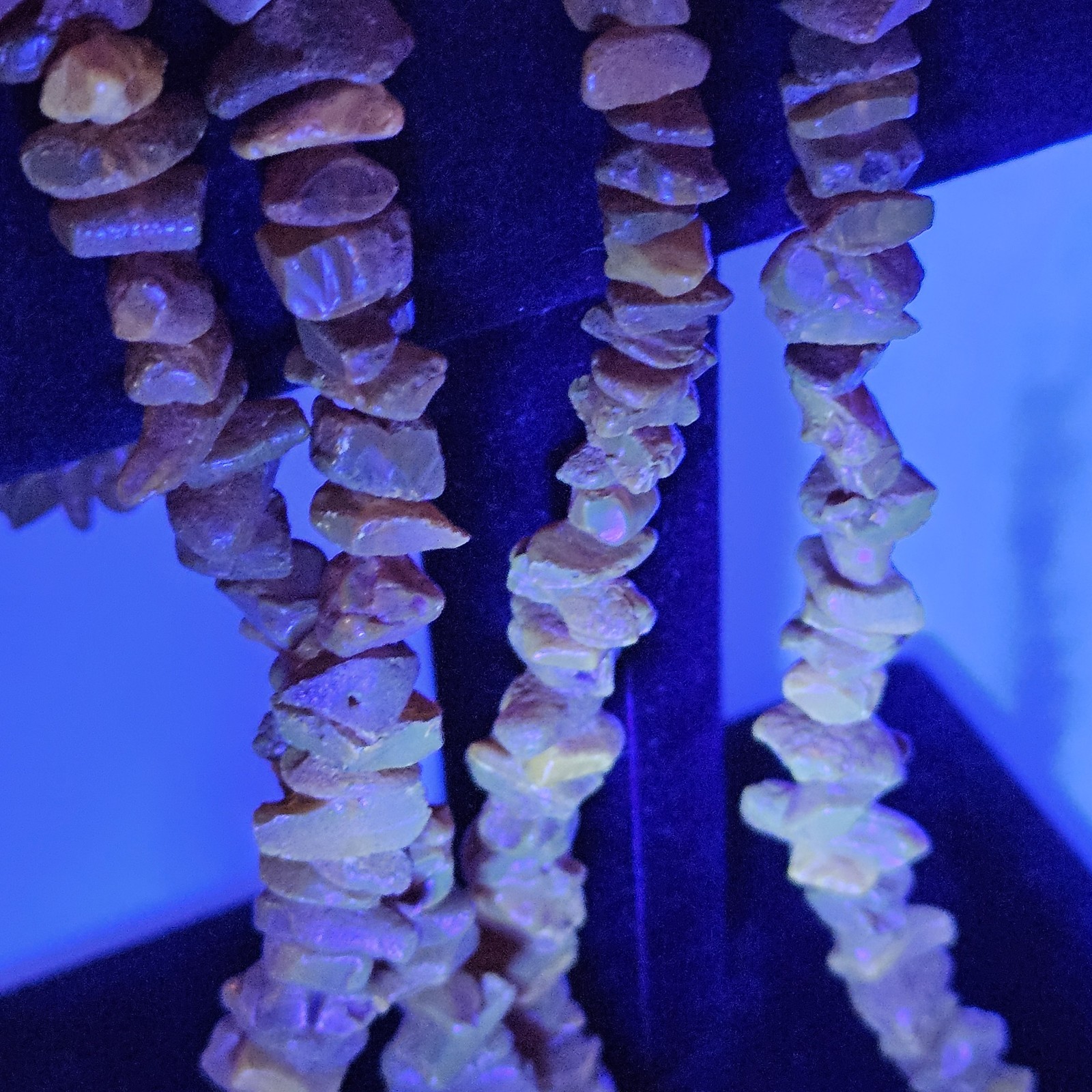 Vintage 64″ Baltic Amber Chip Bead Necklace 69.7g Raw Fluorescent Glow