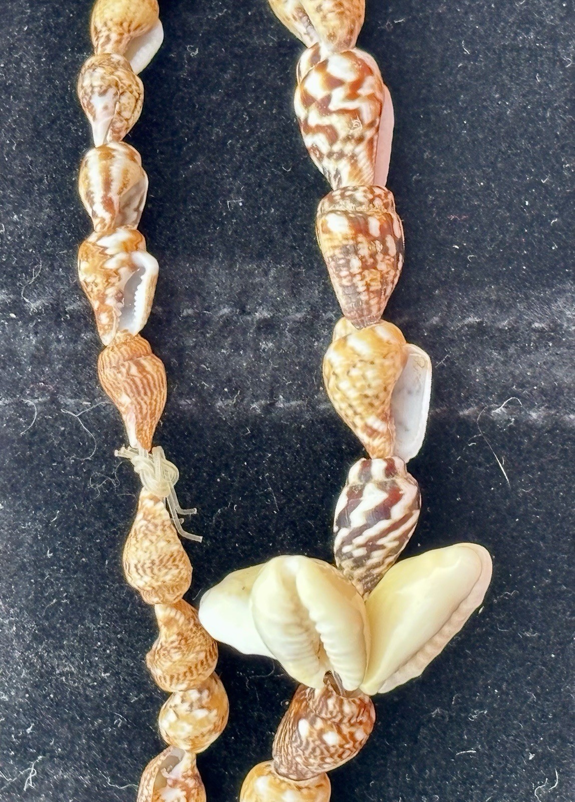 TWO Vintage Sea Shell Necklaces Boho Beach Theme
