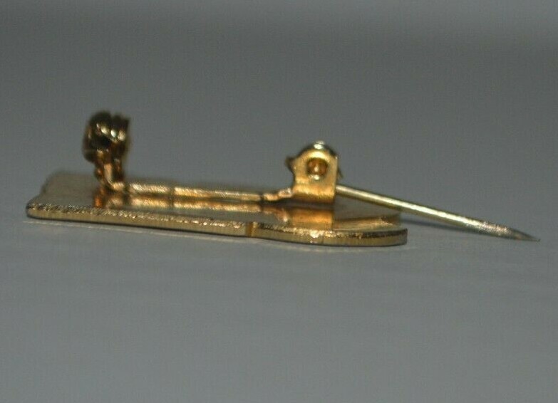 SKI Goldtone Pin with Safety Clasp