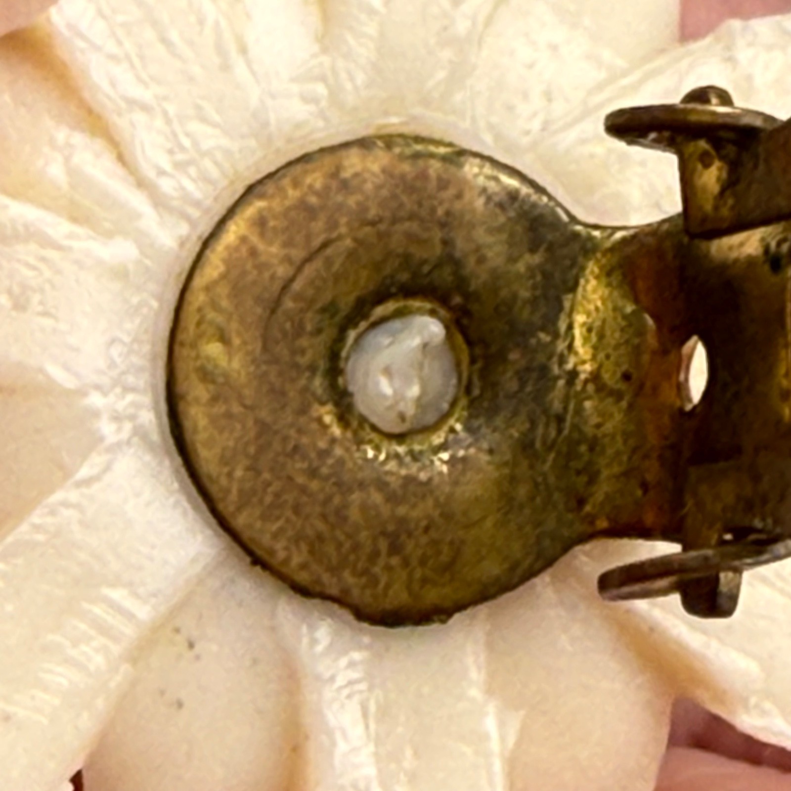 Vintage Edelweiss Clip On Earrings Alpine Flower Swiss German Austrian Celluloid