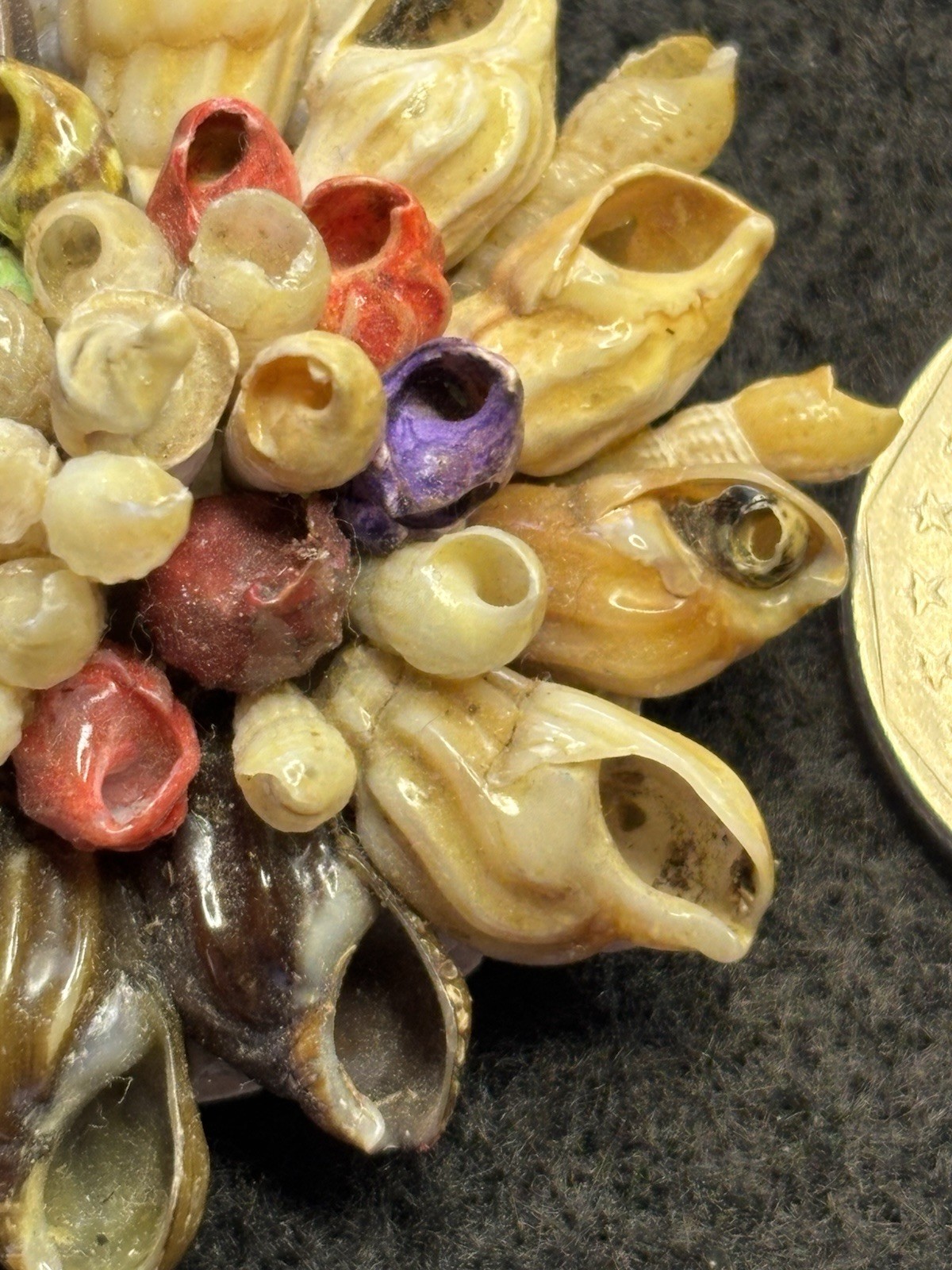 Vtg Artisan Made Natural Seashell Brooch Floral Design Multicolor 2” W/ Box