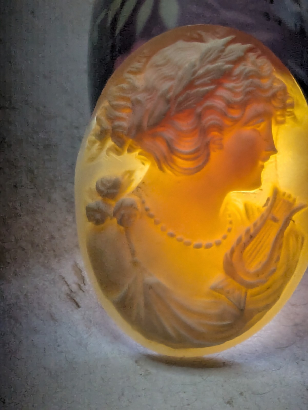 Cameo Carved Loose 45mm X 35mm Shell (5.3g)