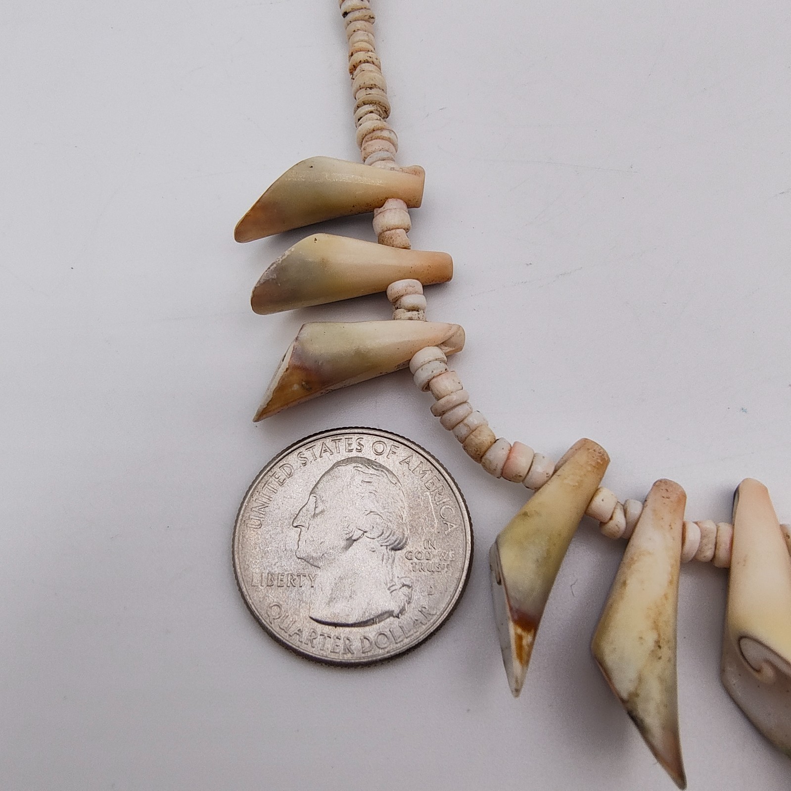 Vintage Spiny Shell Choker Necklace Natural Bohemian Beach Surfer Vibe 16″