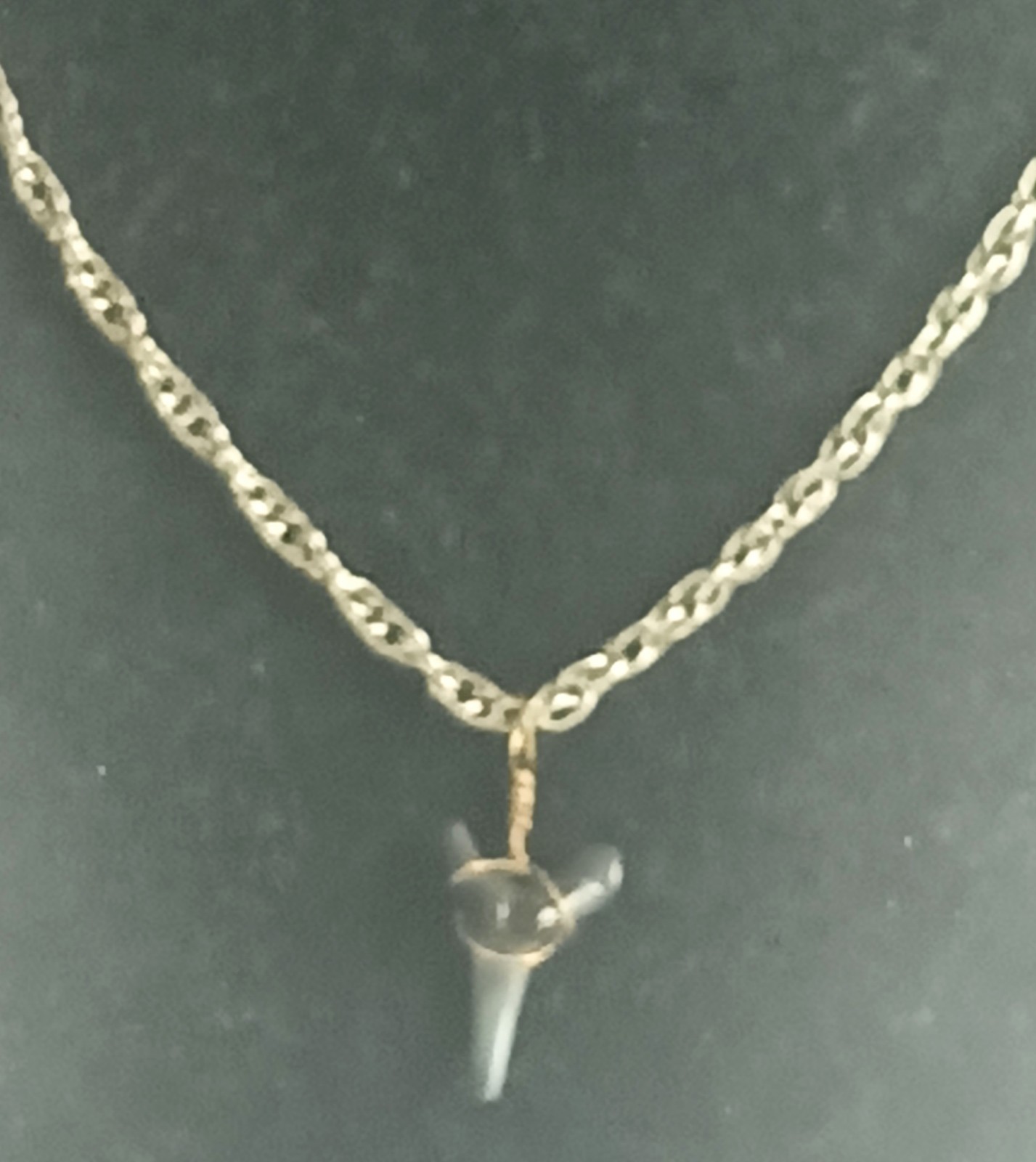 Vintage Wire Wrapped Shark Tooth Round Link Chain Necklace